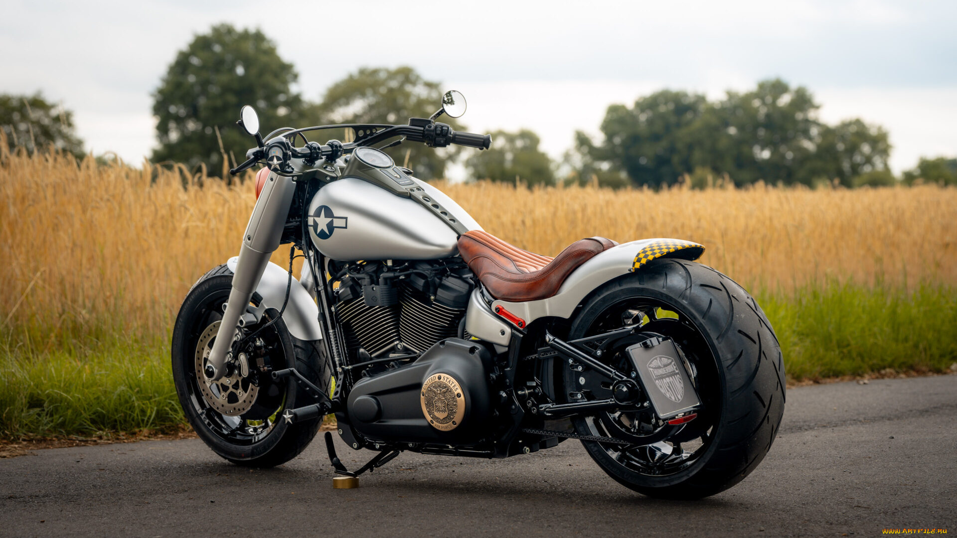 мотоциклы, harley-davidson, softail, fat, boy, 117, customized, custombikes, shimmy, iv