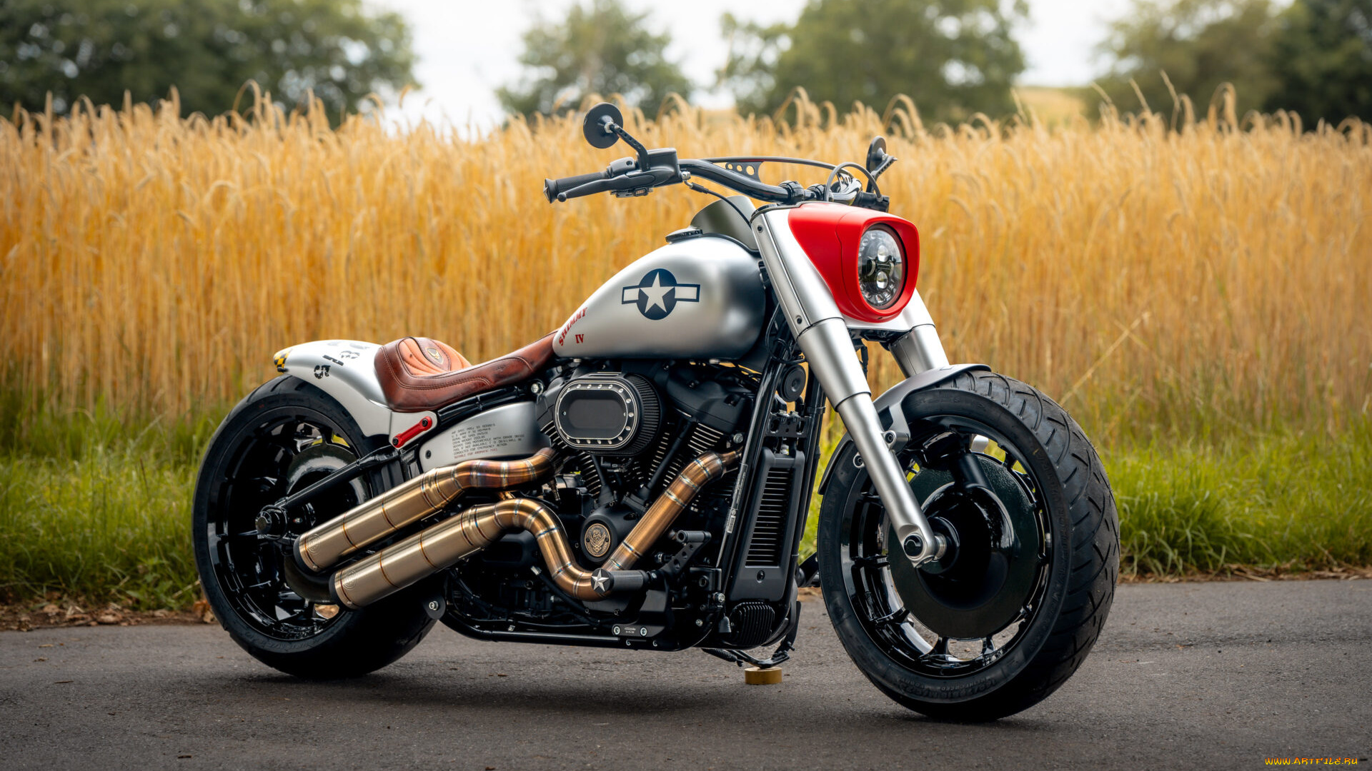 мотоциклы, harley-davidson, softail, fat, boy, 117, customized, custombikes, shimmy, iv