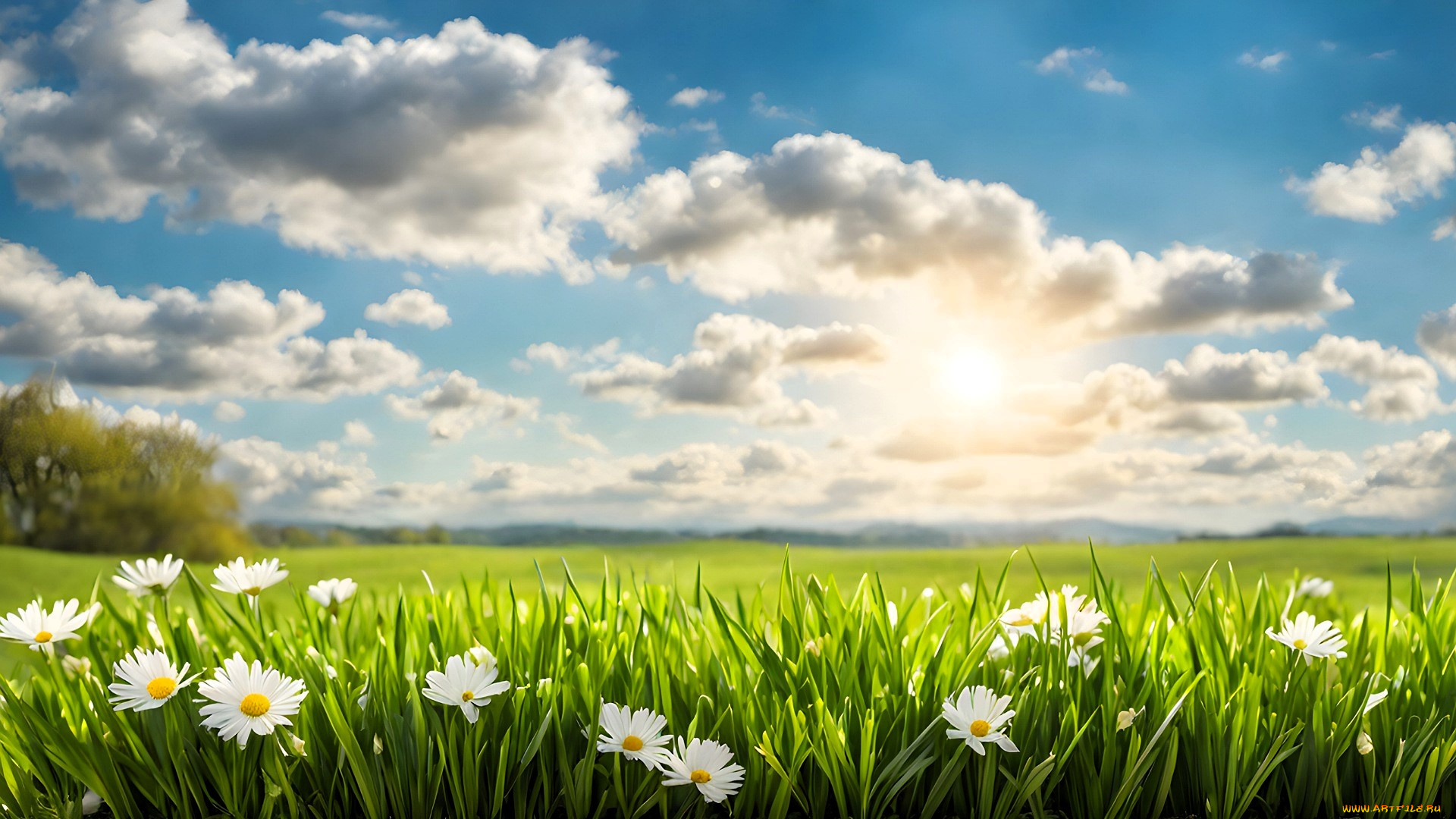 разное, компьютерный, дизайн, поле, луг, трава, цветы, ромашки, небо, облака, деревья