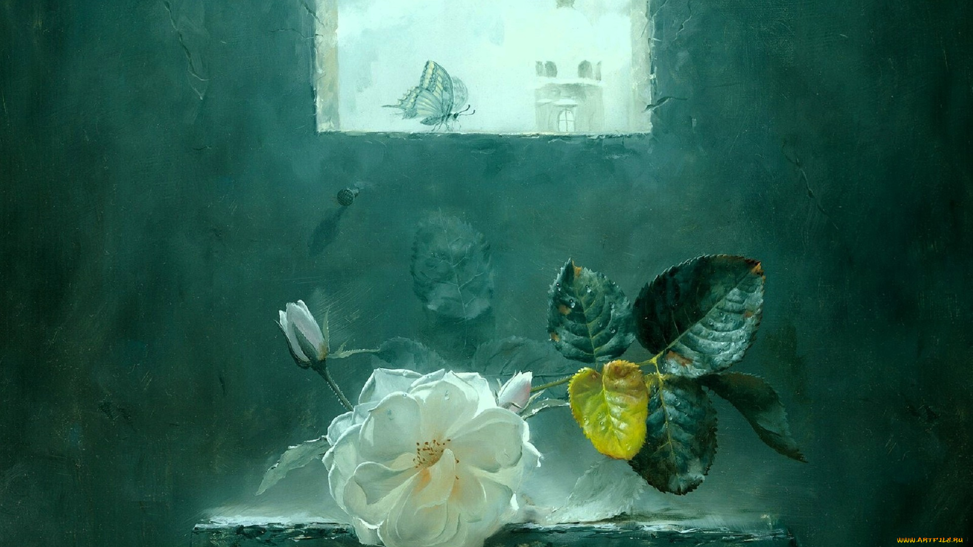 рисованное, алексей, антонов, роза, бутон, листья, полка, окно, бабочка