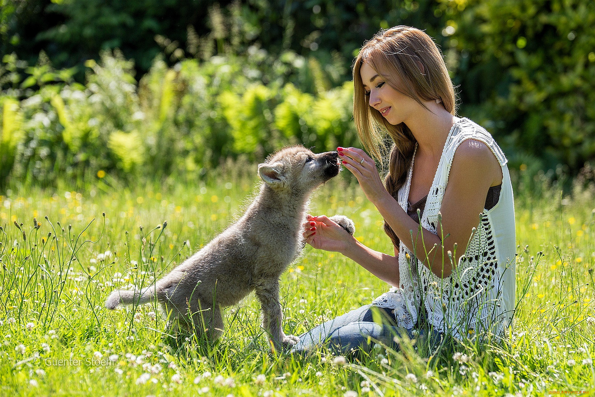 девушки, -, брюнетки, , шатенки, русая, жилет, джинсы, лужайка, щенок