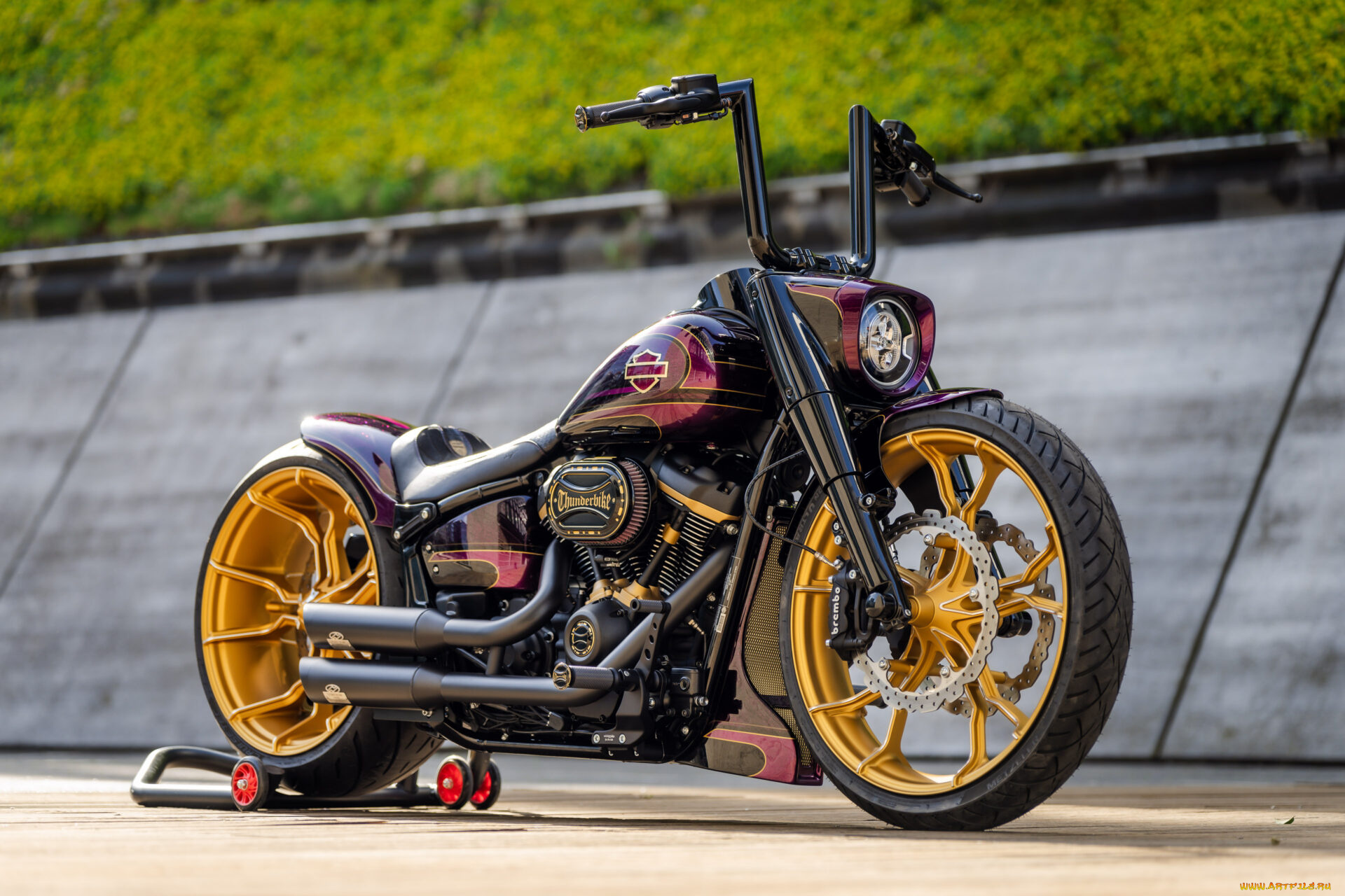 мотоциклы, harley-davidson, softail, fat, boy, 114, customized, custombikes, thanos