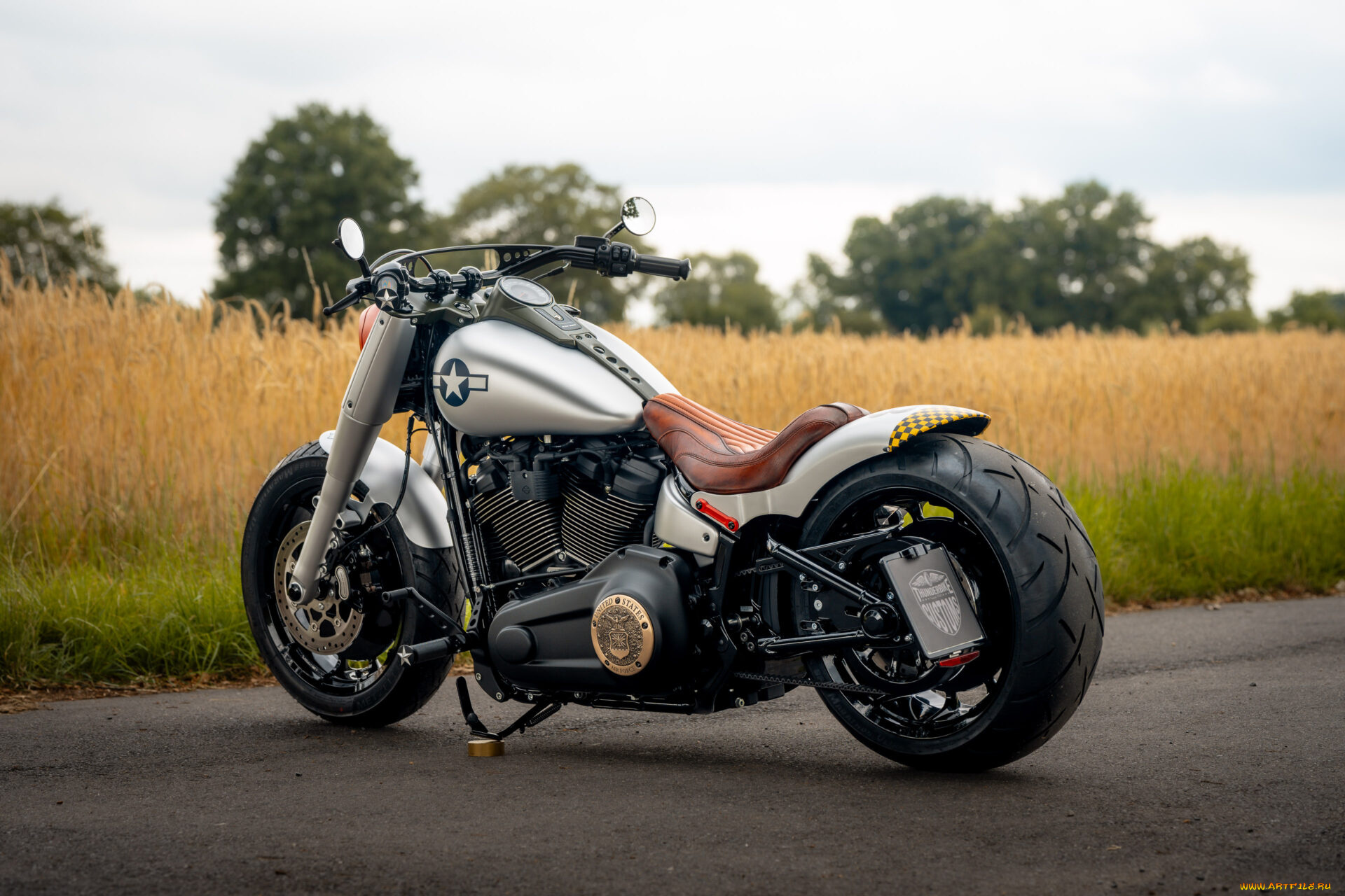 мотоциклы, harley-davidson, softail, fat, boy, 117, customized, custombikes, shimmy, iv