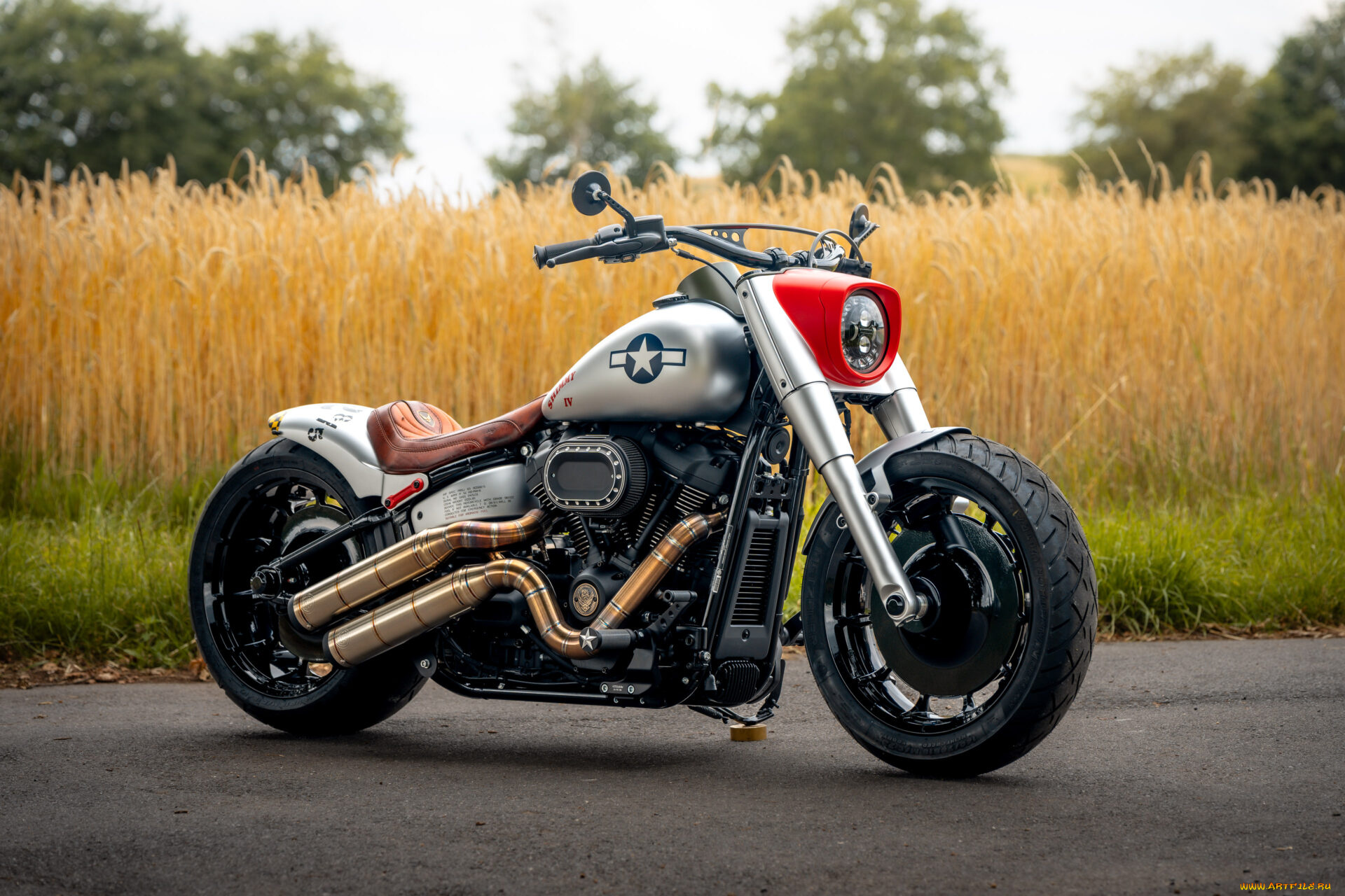 мотоциклы, harley-davidson, softail, fat, boy, 117, customized, custombikes, shimmy, iv