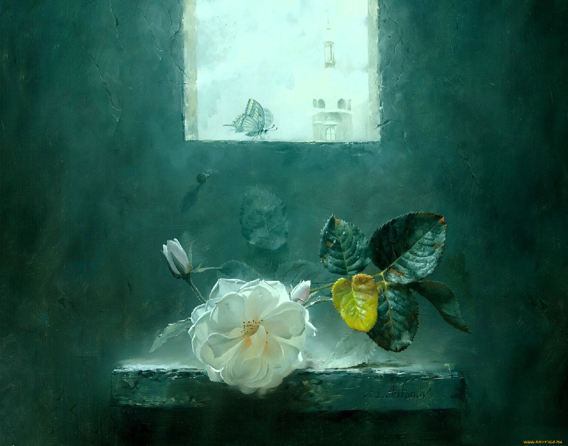 рисованное, алексей, антонов, роза, бутон, листья, полка, окно, бабочка