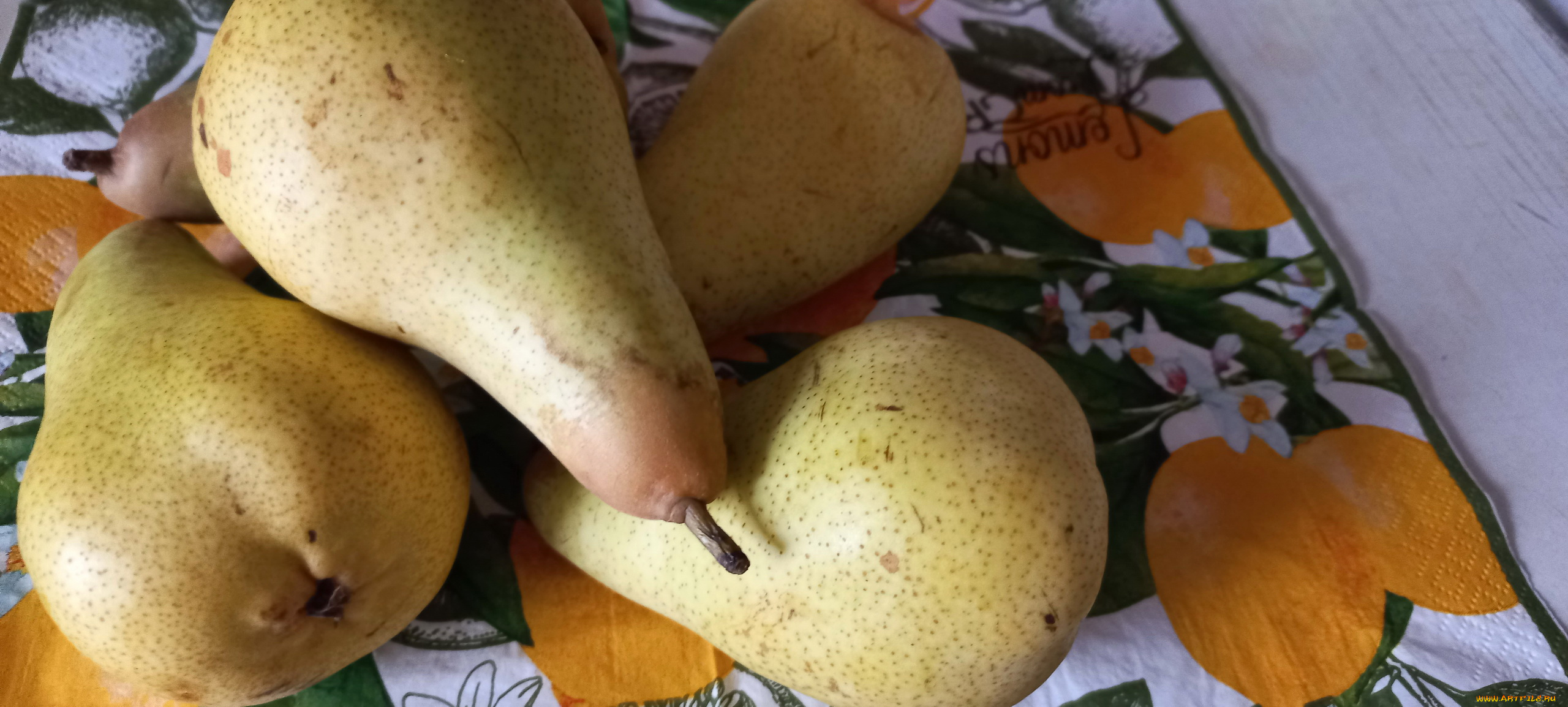 еда, груши, фрукты, макро