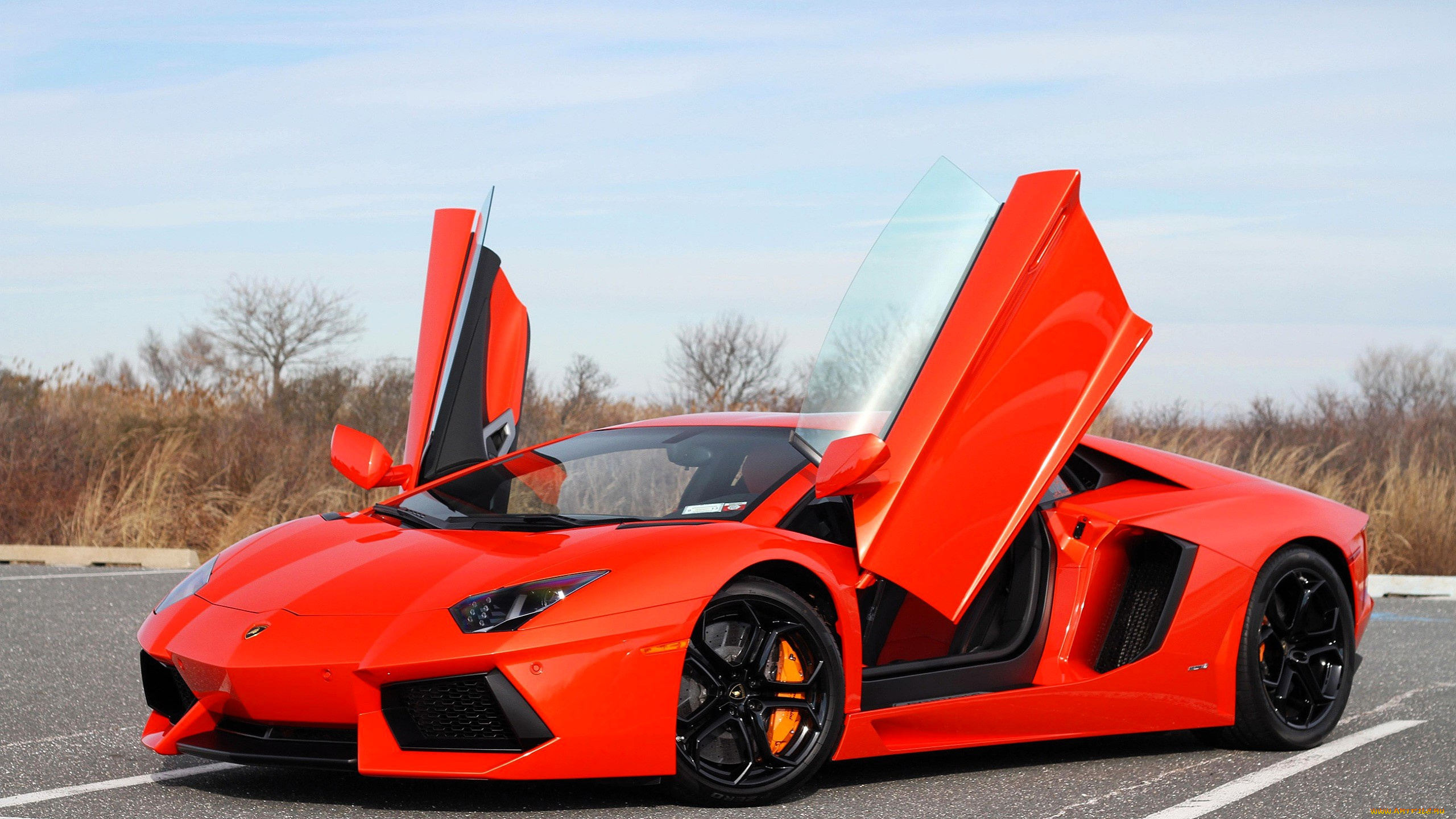 lamborghini, aventador, автомобили, lamborghini, красный, двери, парковка