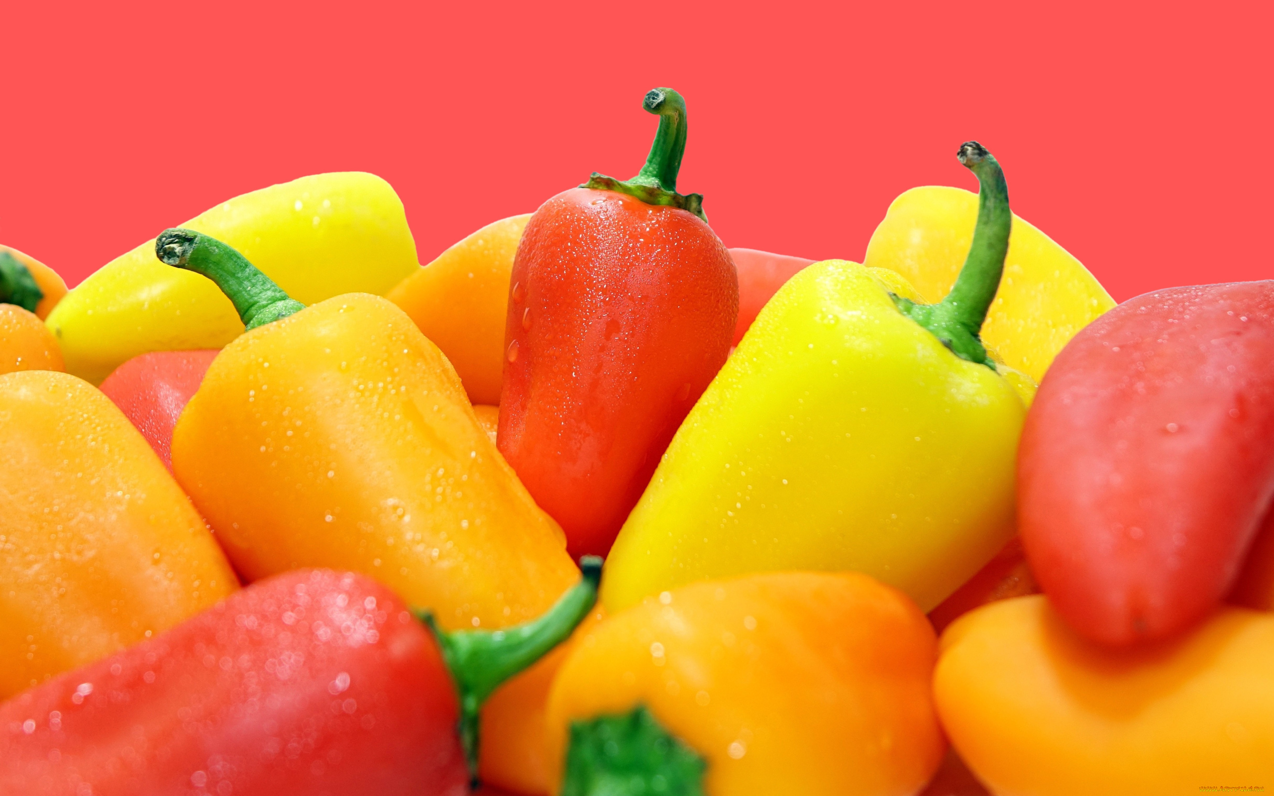 еда, перец, красный, желтый, капли