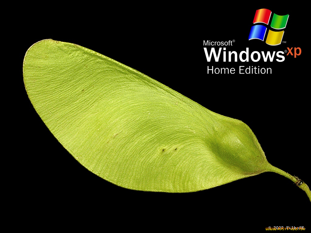 компьютеры, windows, xp