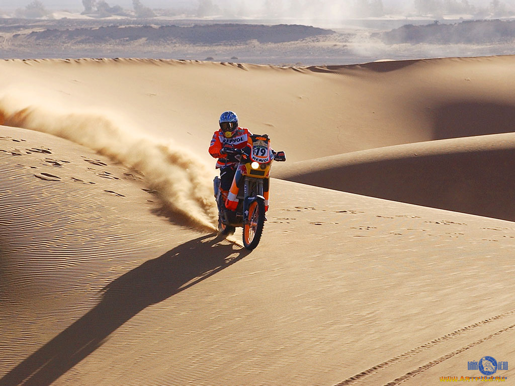 спорт, мотокросс