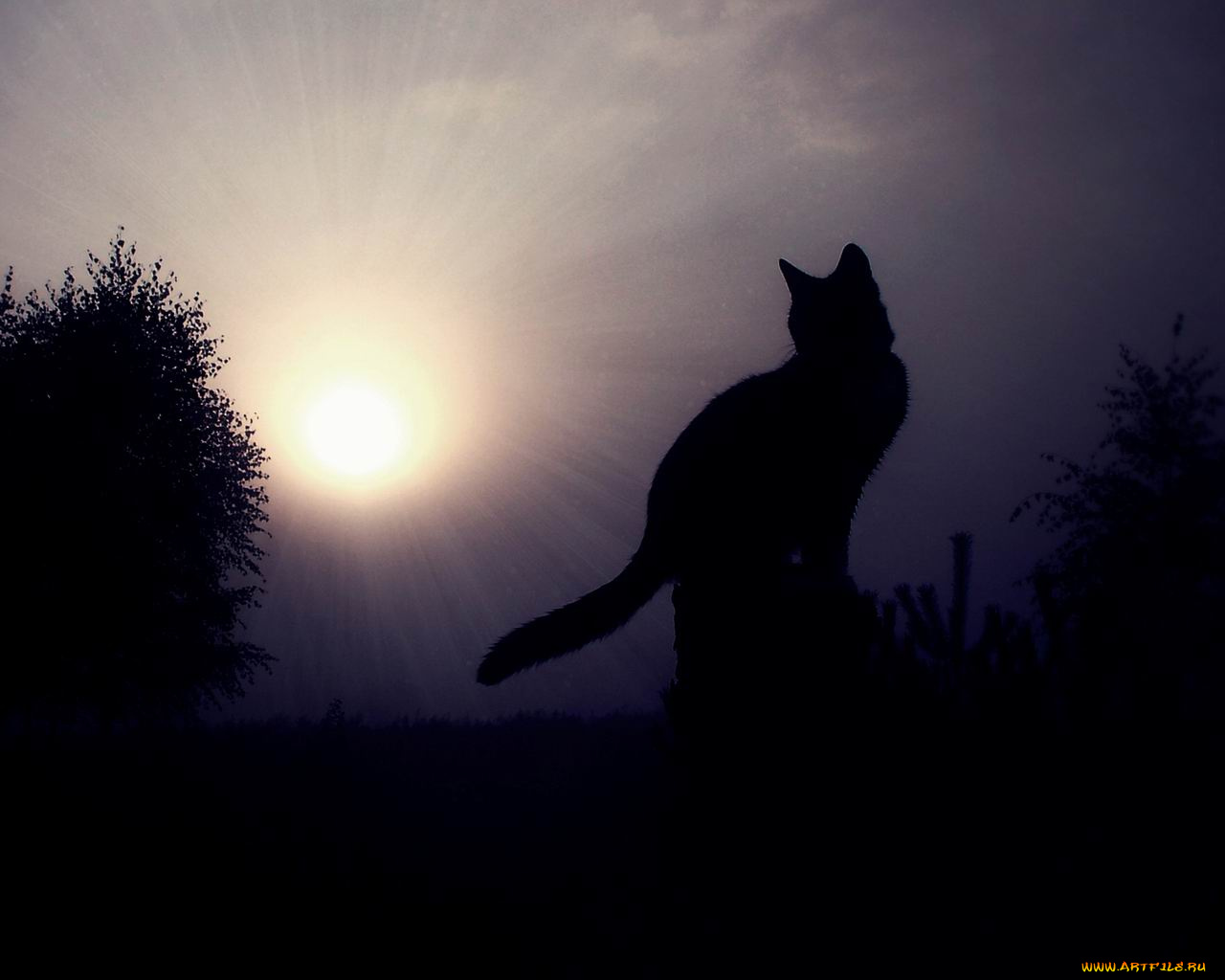 рисованные, животные