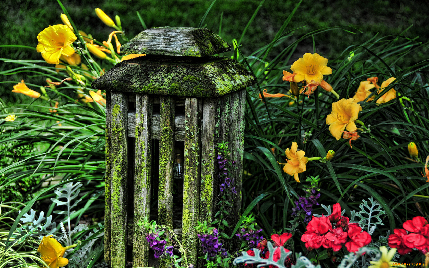 цветы, разные, вместе