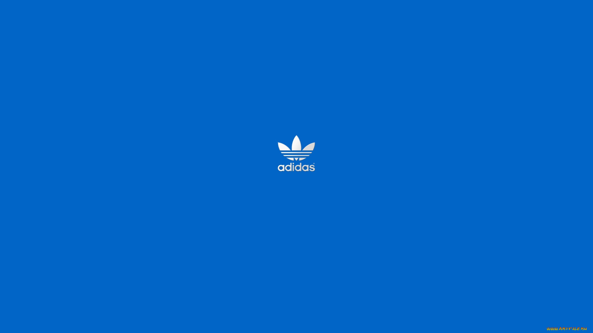 бренды, adidas
