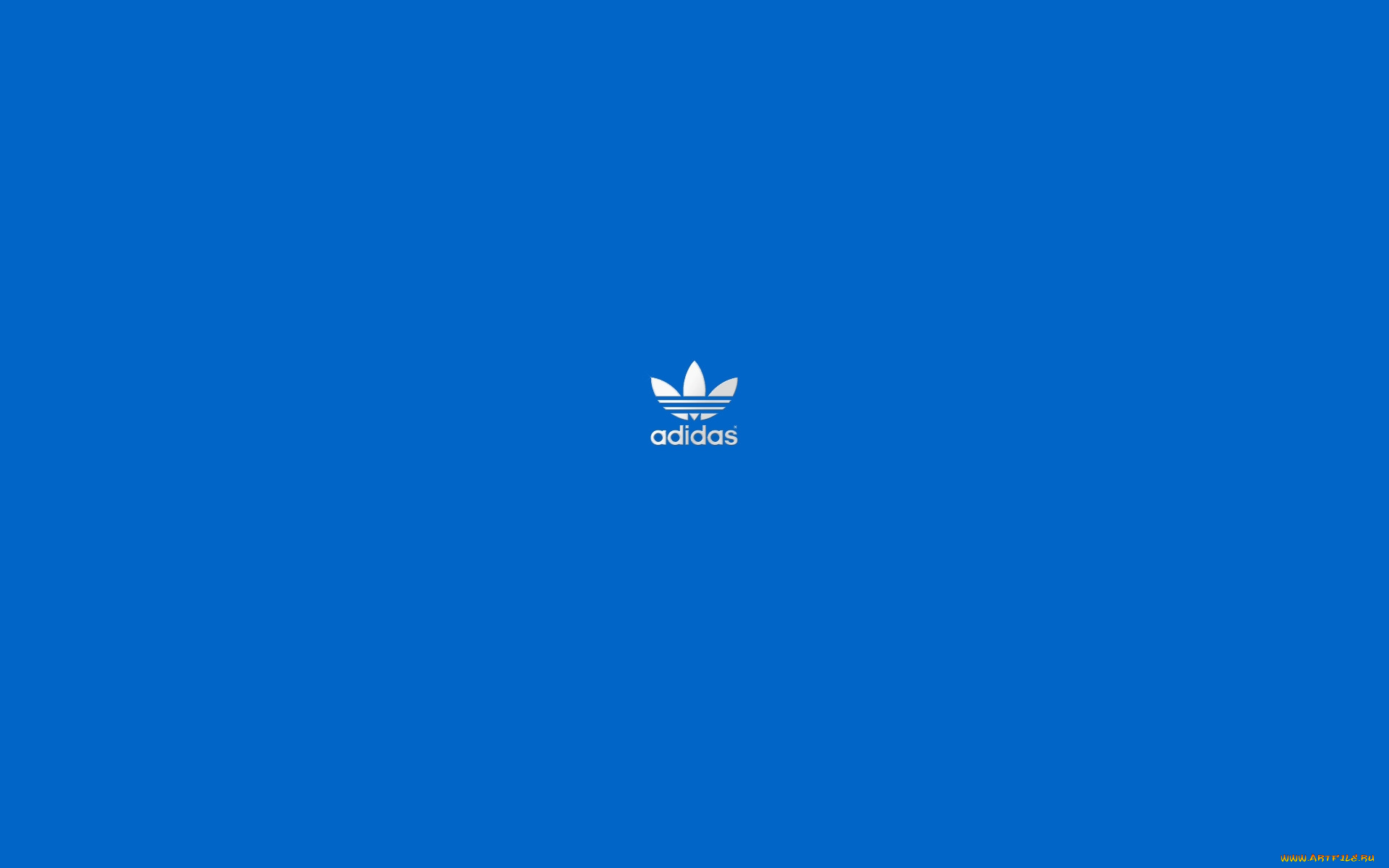 бренды, adidas