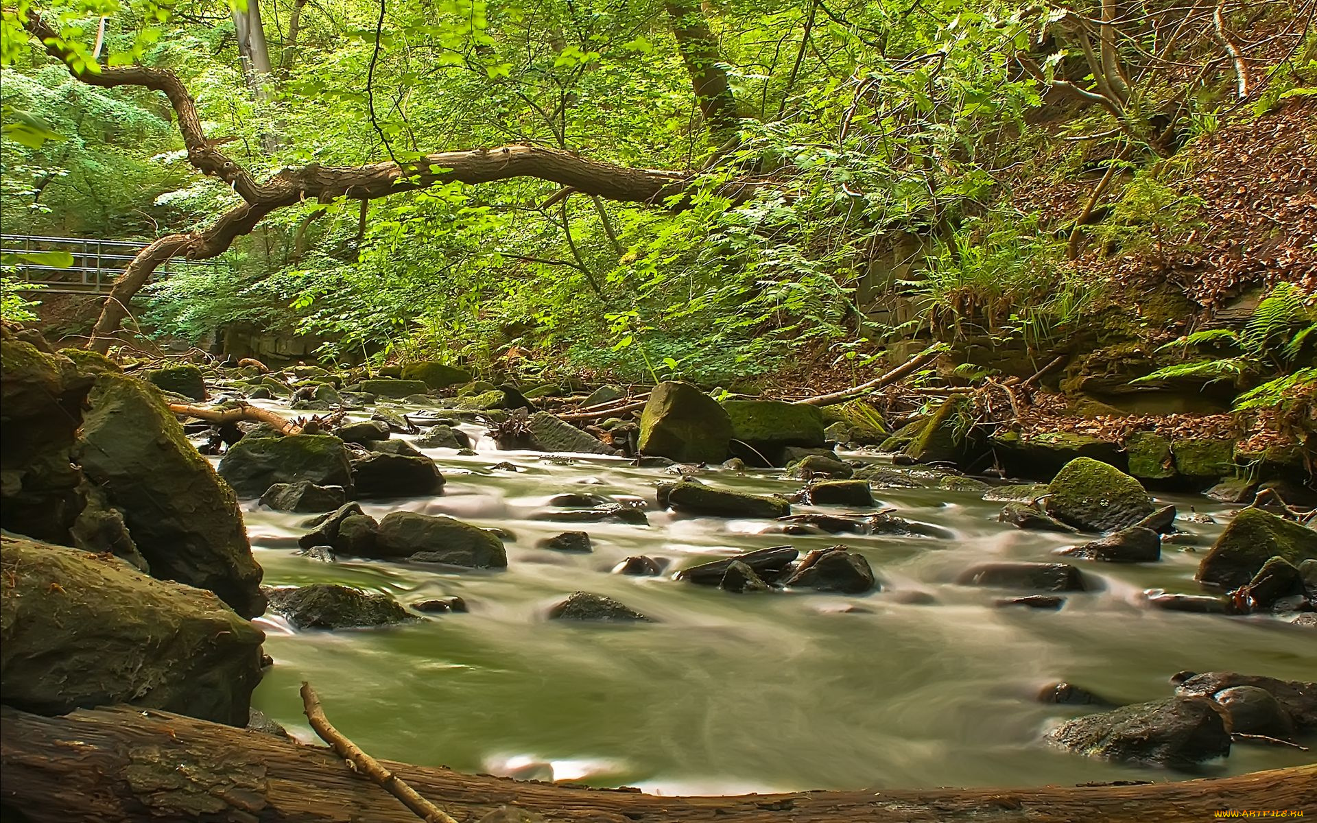 природа, реки, озера