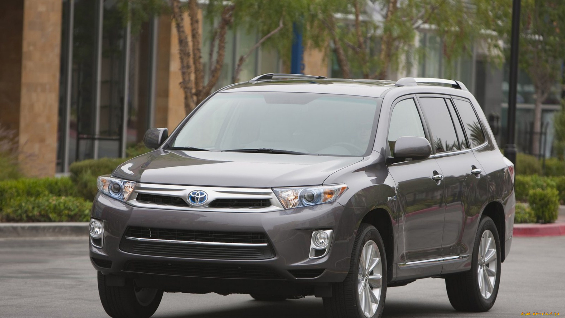 автомобили, toyota