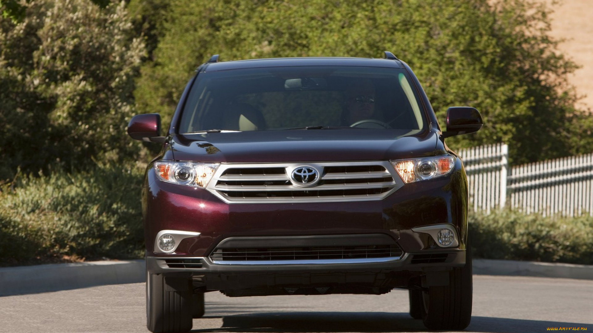 автомобили, toyota