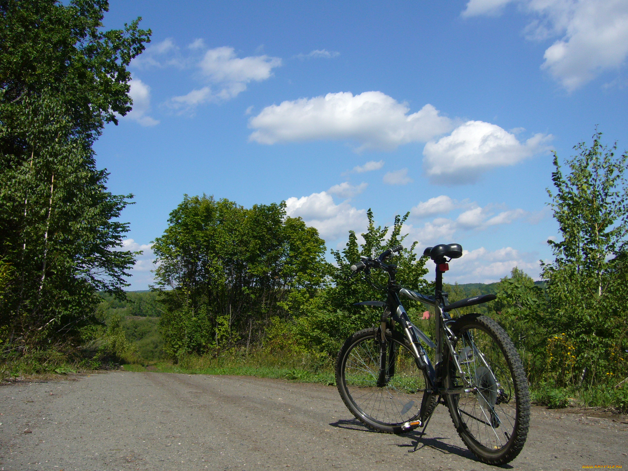 stels, byke, спорт, велоспорт