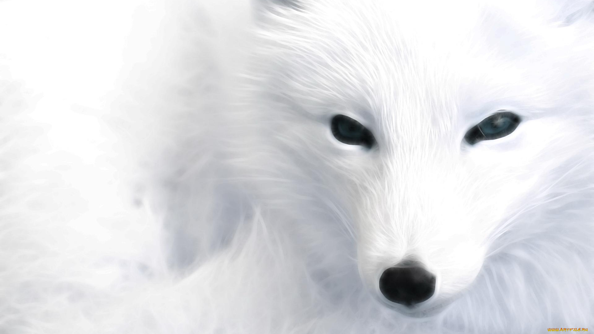 3д, графика, animals, животные, фрактал, собака