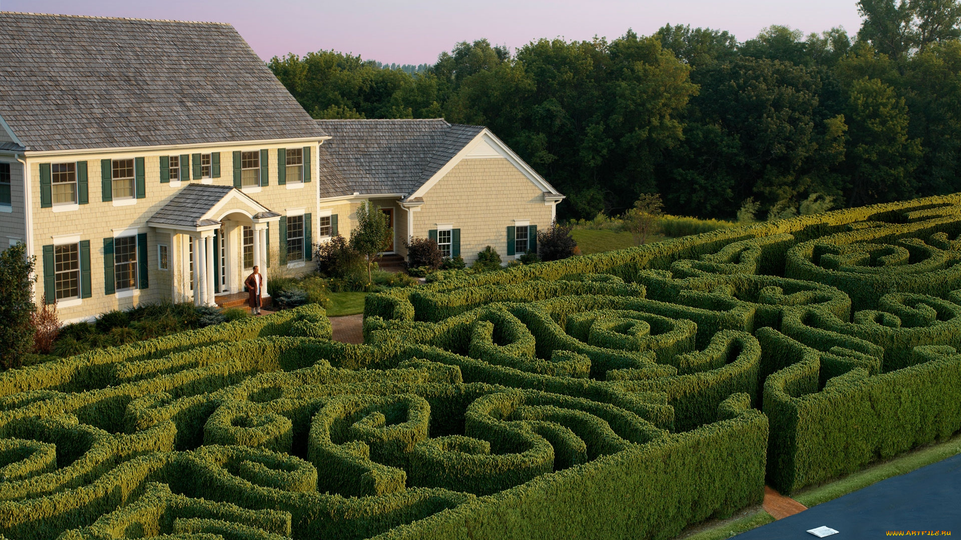 юмор, приколы, лабиринт, газета, кусты