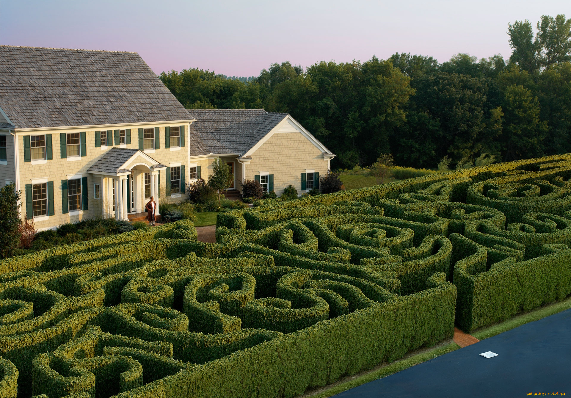 юмор, приколы, лабиринт, газета, кусты