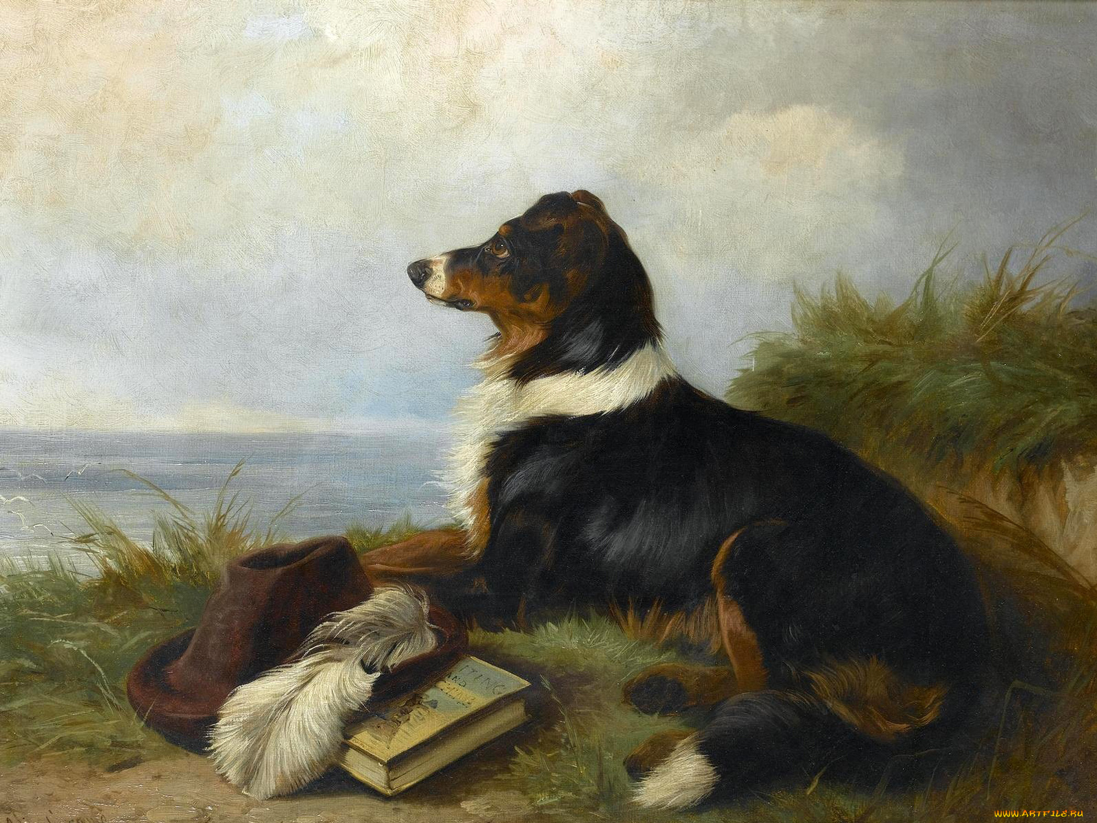 рисованные, colin, graeme, roe, ожидание, собаки