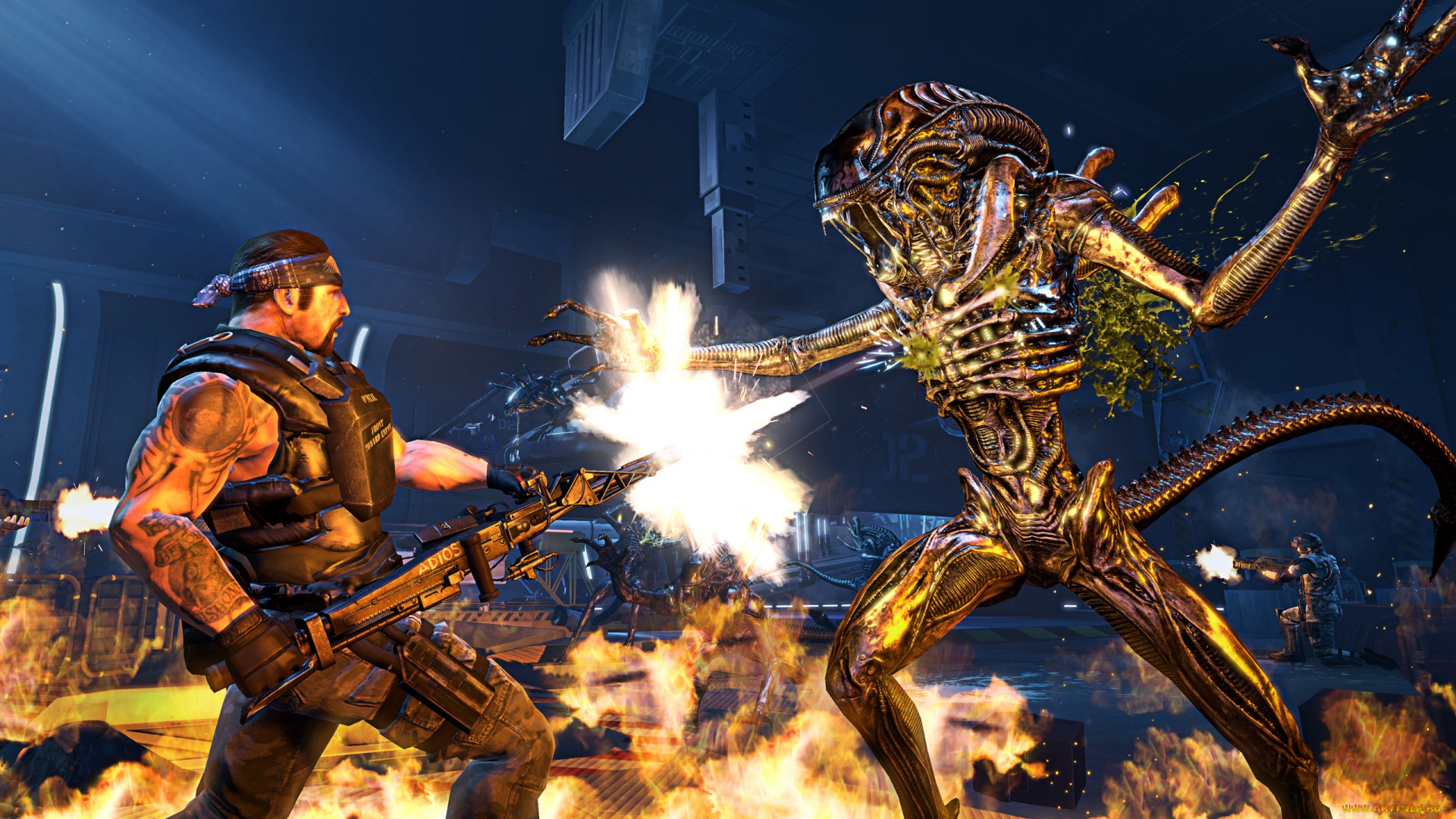 aliens, colonial, marines, видео, игры, компьютерная, игра