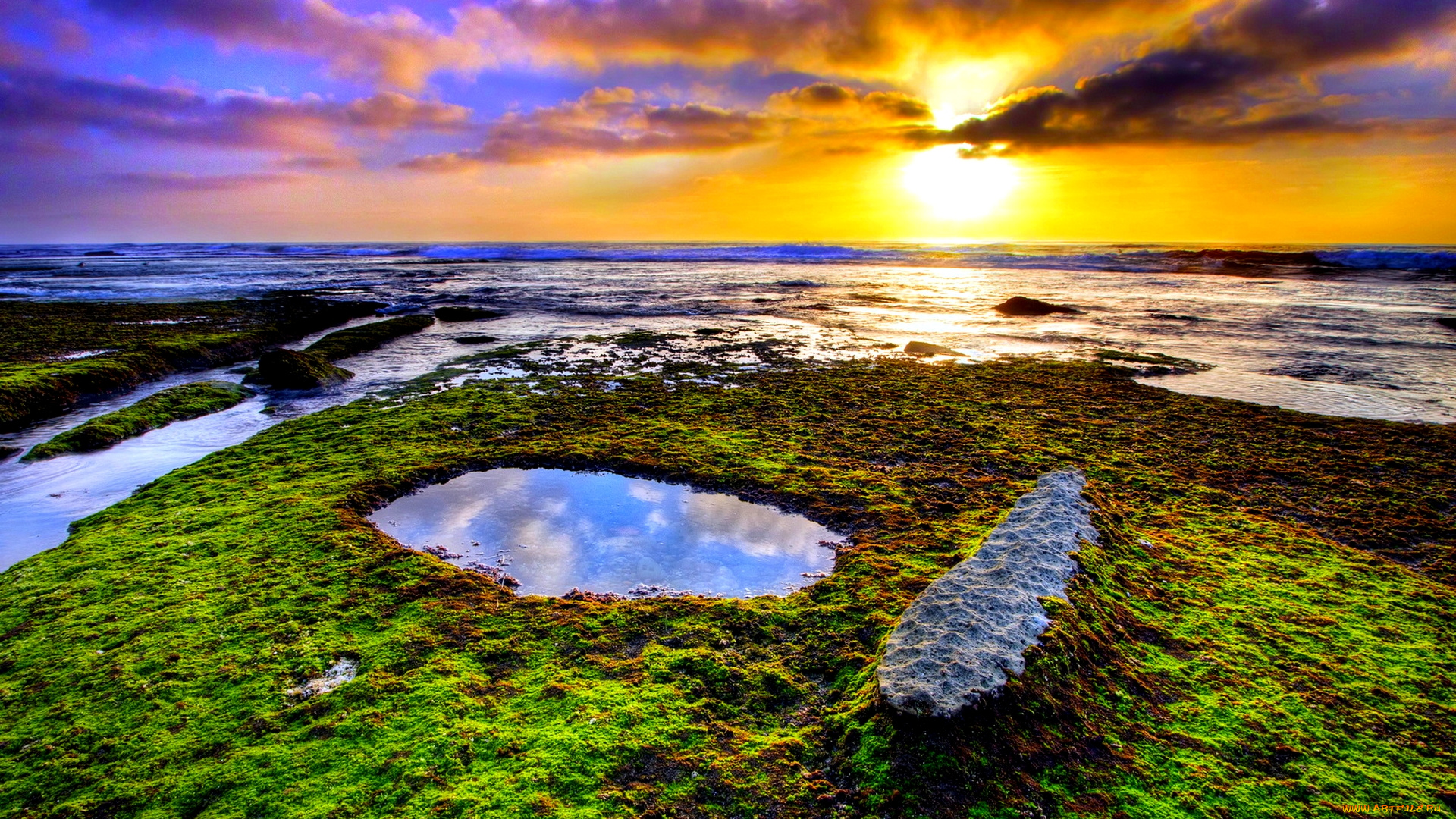 beautiful, sunset, природа, восходы, закаты, рассвет, море, пляж, трава, лужа