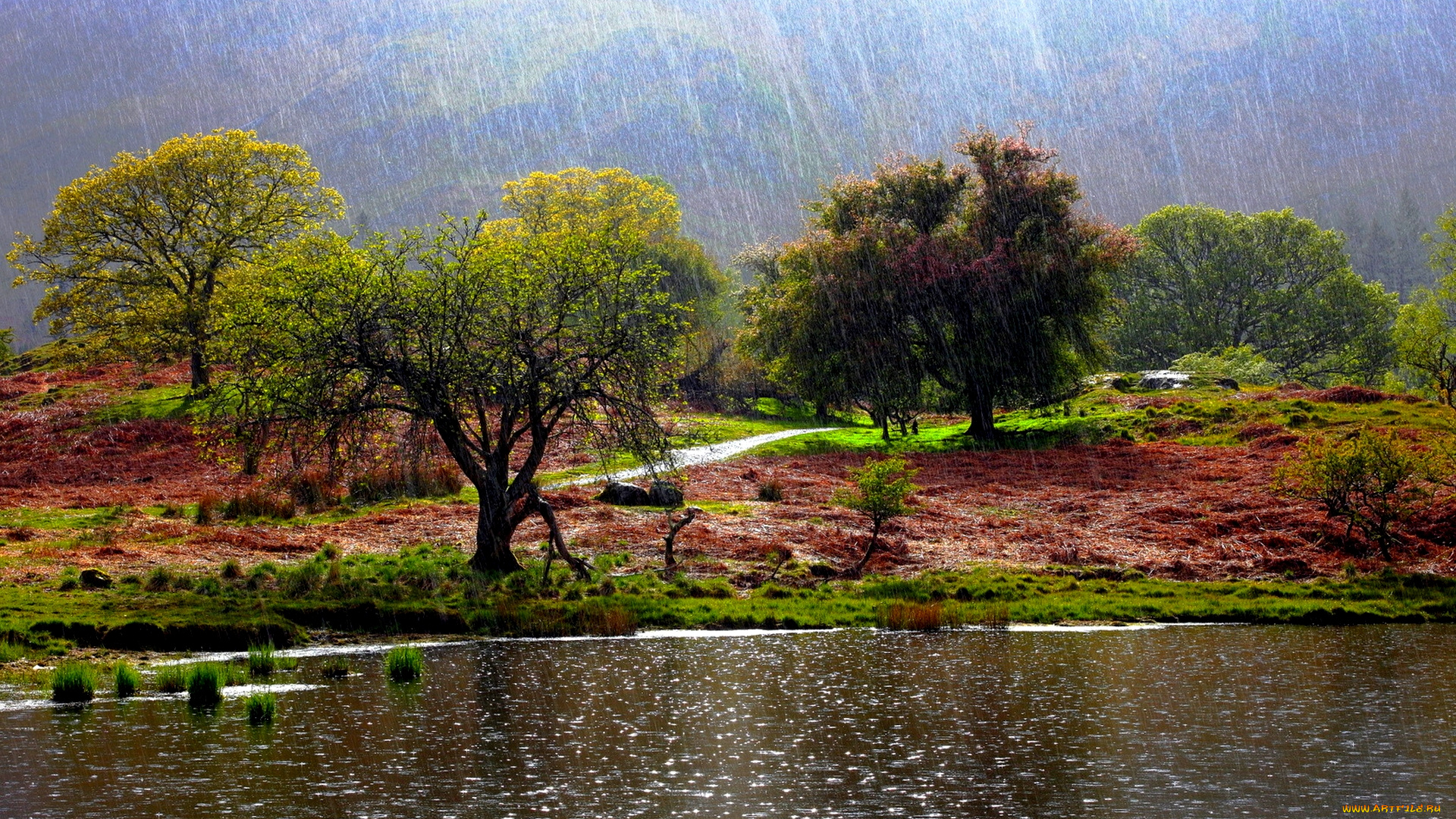 it`s, raining, природа, реки, озера, река, дождь, деревья