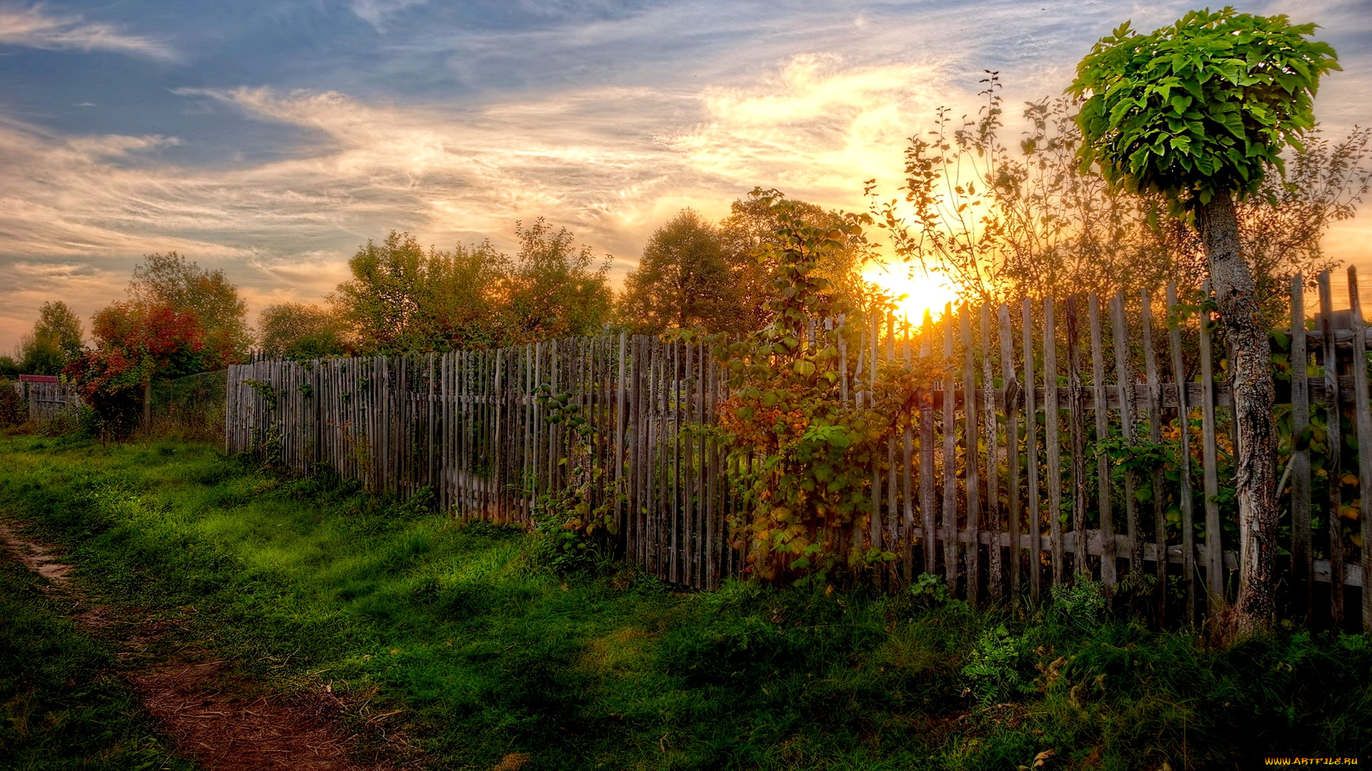 pretty, good, morning, природа, восходы, закаты, дорога, сад, рассвет, изгородь