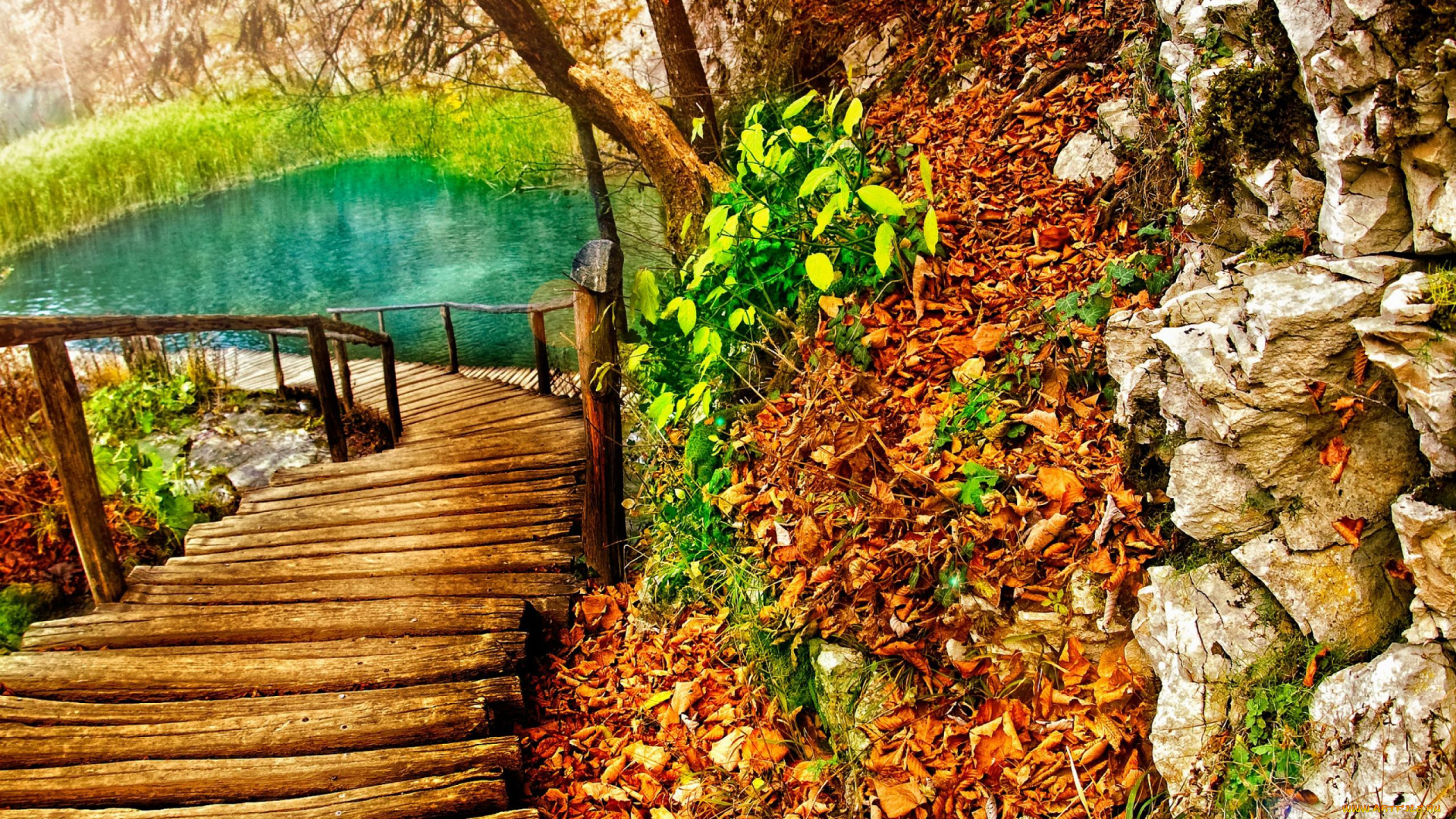 природа, дороги, осень, листья, мостик