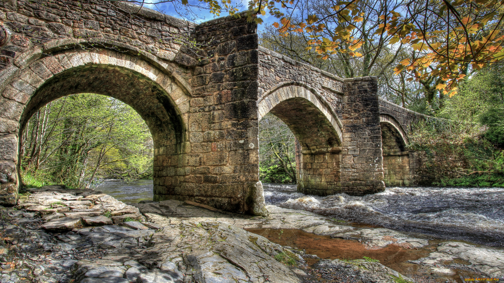 природа, реки, озера, река, мост