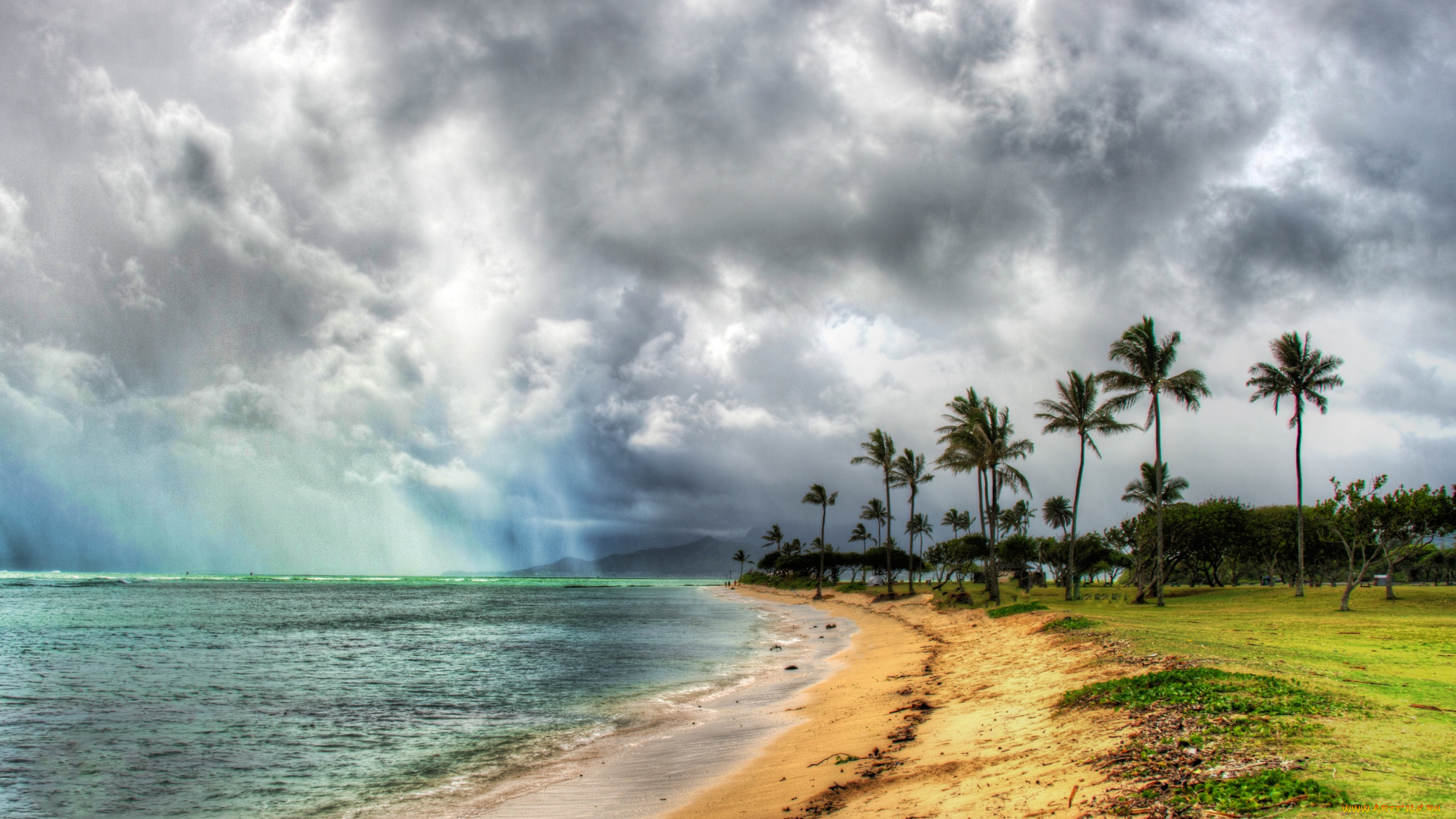 природа, тропики, гавайи, пляж