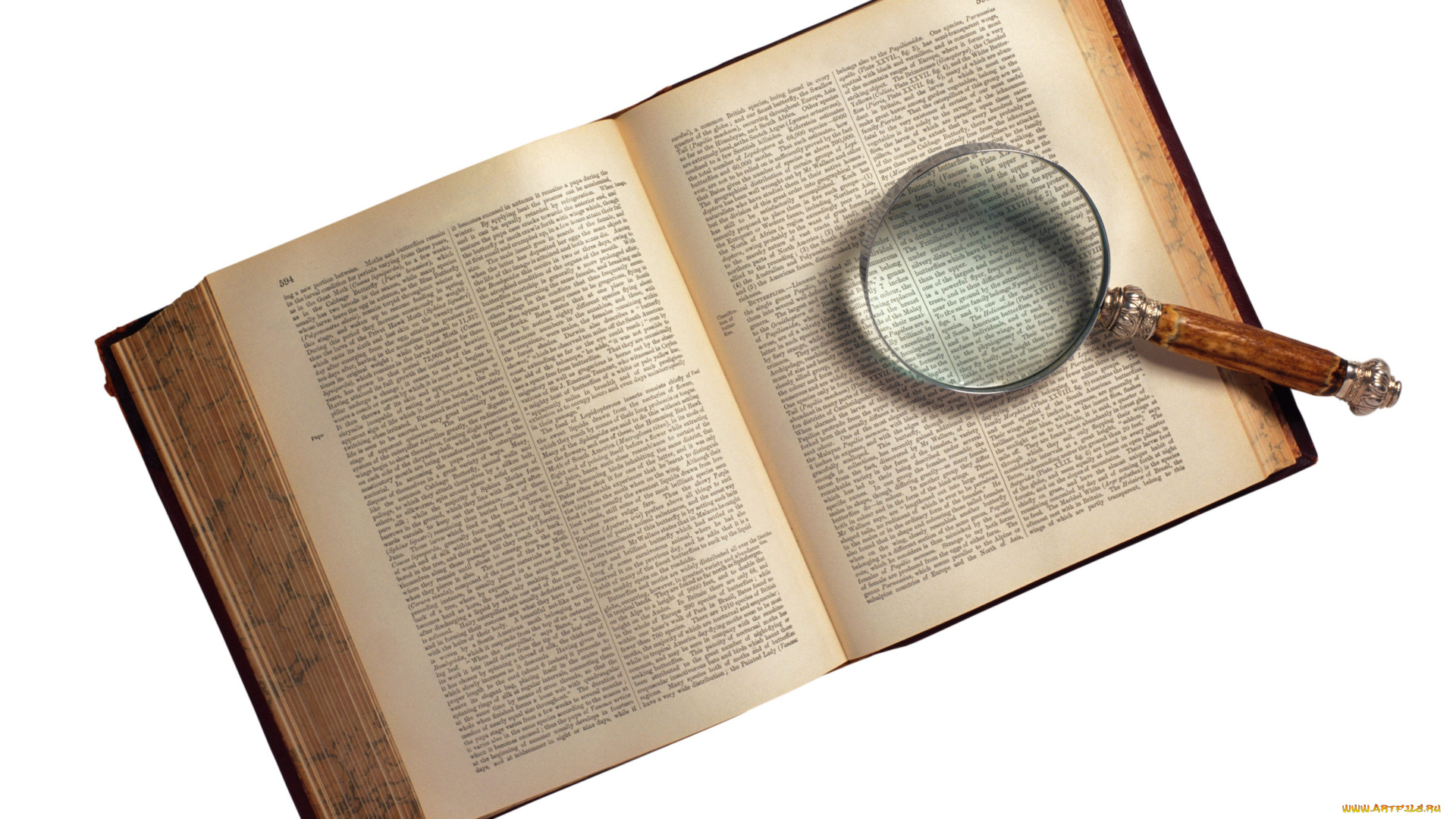 разное, глобусы, карты, лупа, книга