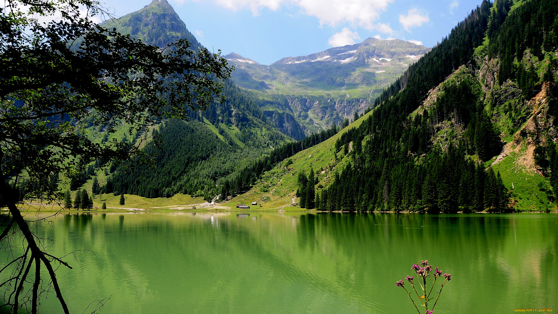schwarzensee, austria, природа, реки, озера, озеро, леса, горы, зелень