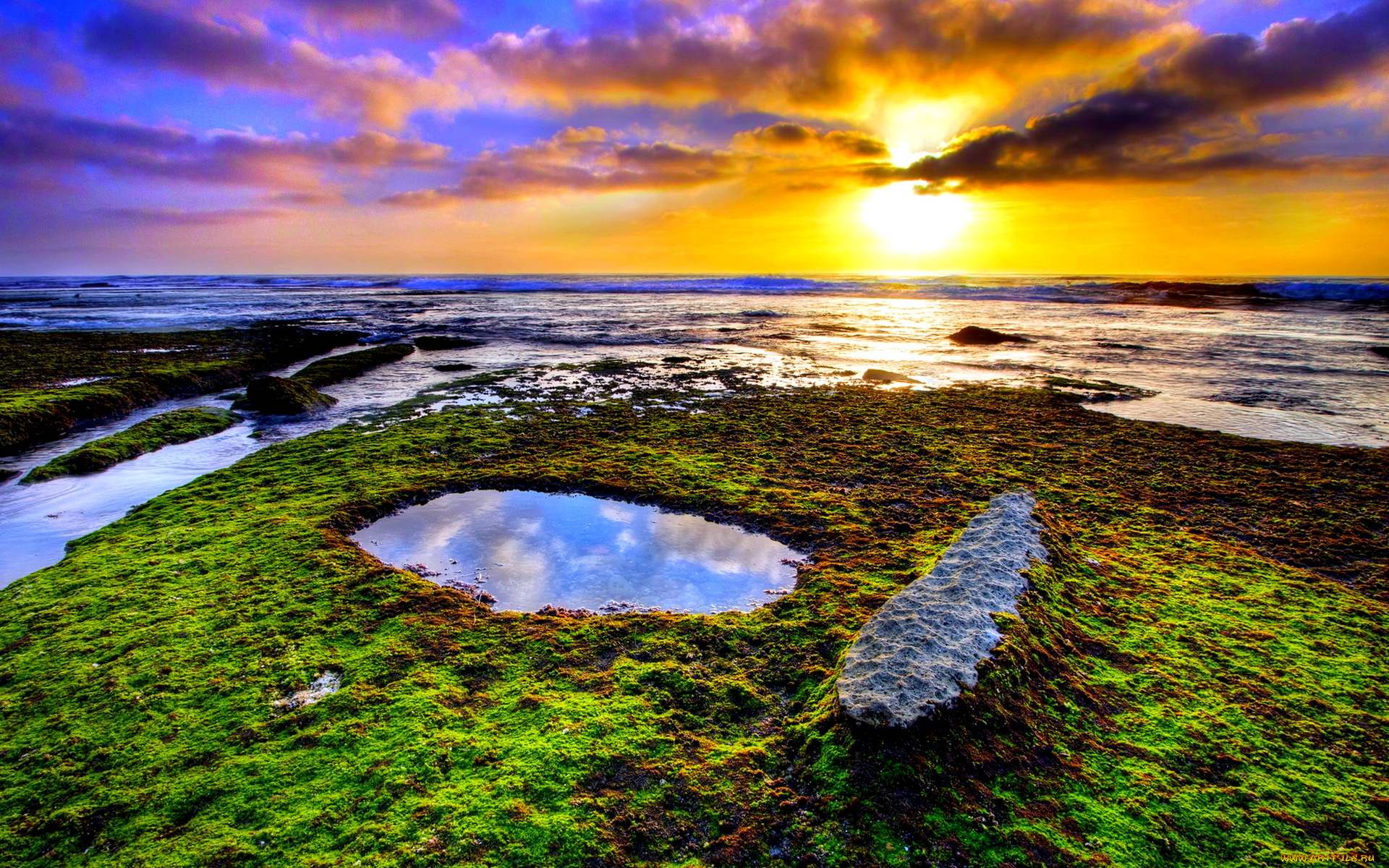 beautiful, sunset, природа, восходы, закаты, рассвет, море, пляж, трава, лужа