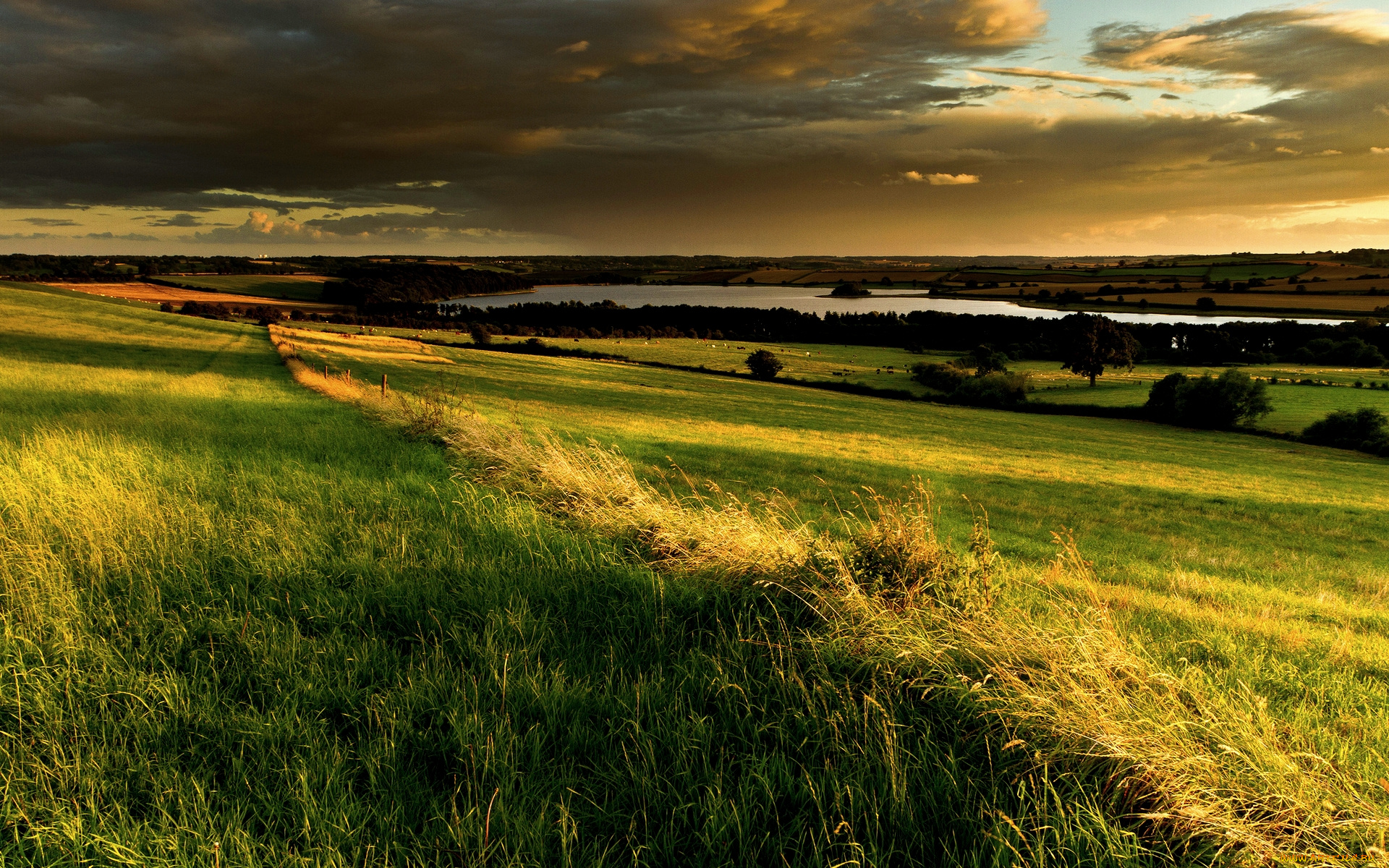 valley, of, glory, природа, поля, горизонт, тучи, трава