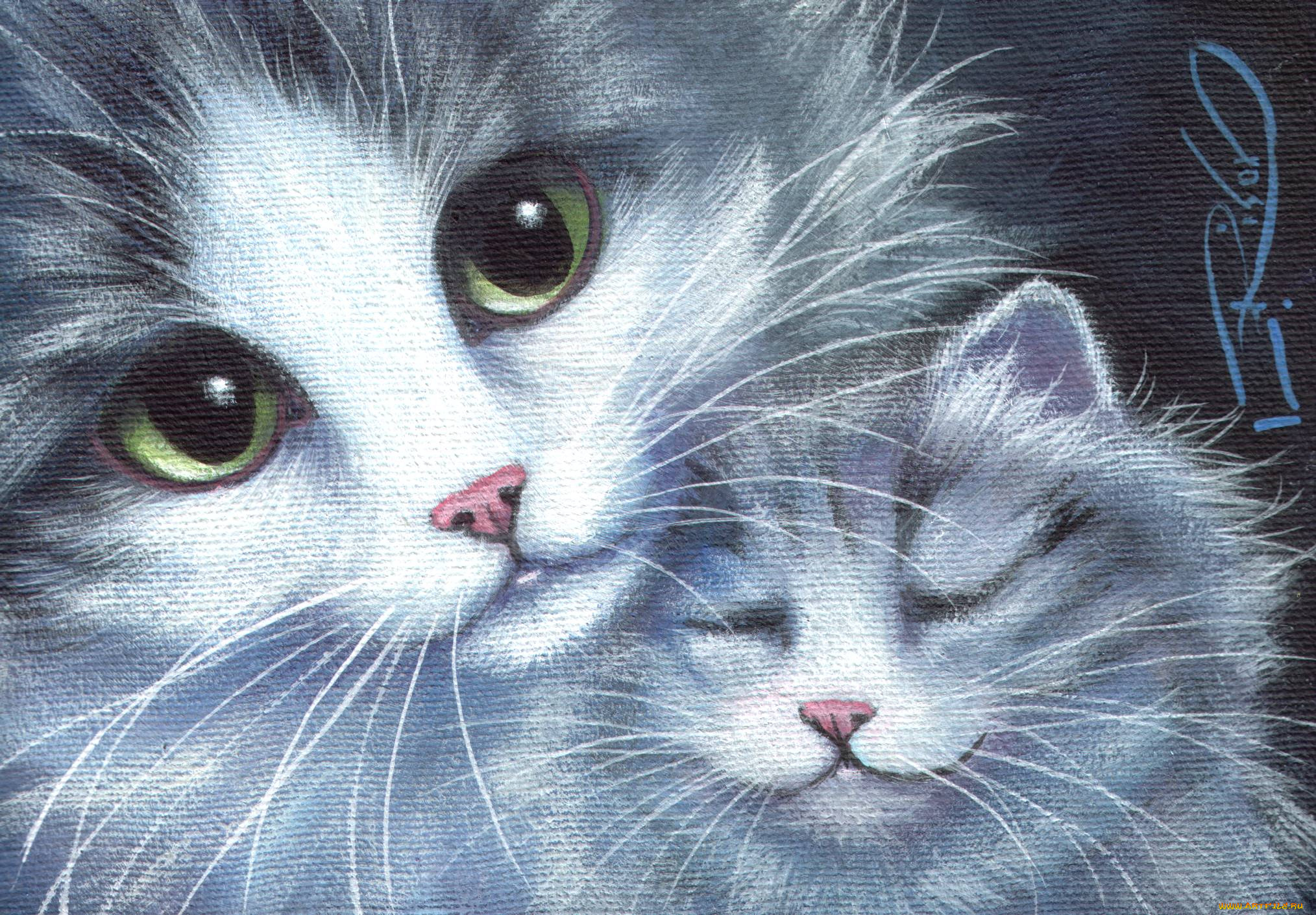 рисованные, животные, коты, кошки