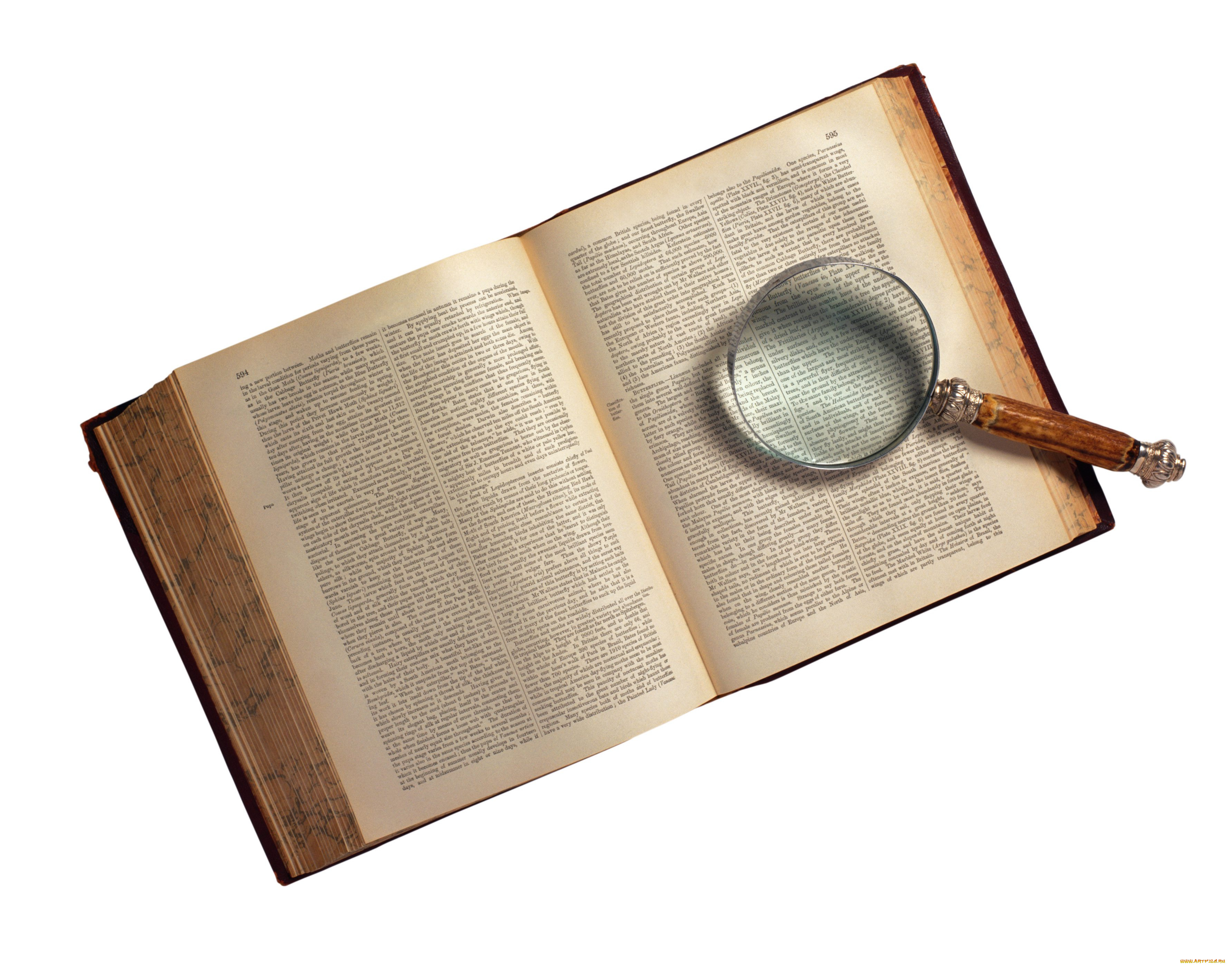 разное, глобусы, карты, лупа, книга