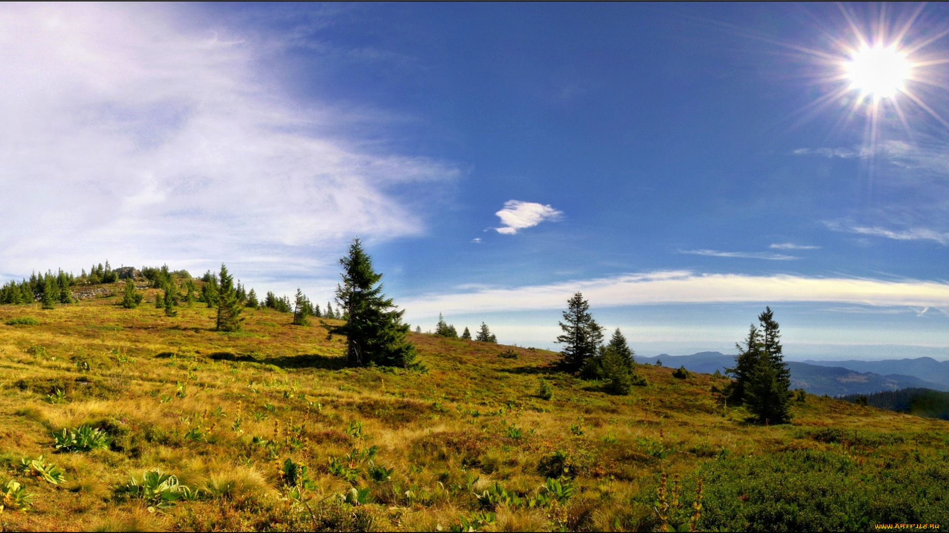 природа, пейзажи, холмы, пригорок, трава, деревья, солнце, панорама
