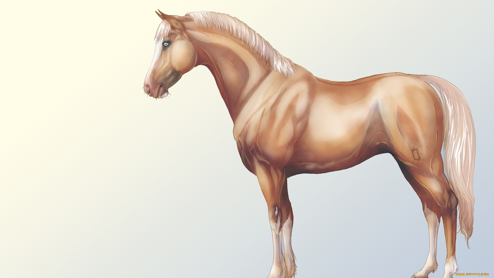 рисованные, животные, лошади, лошадь