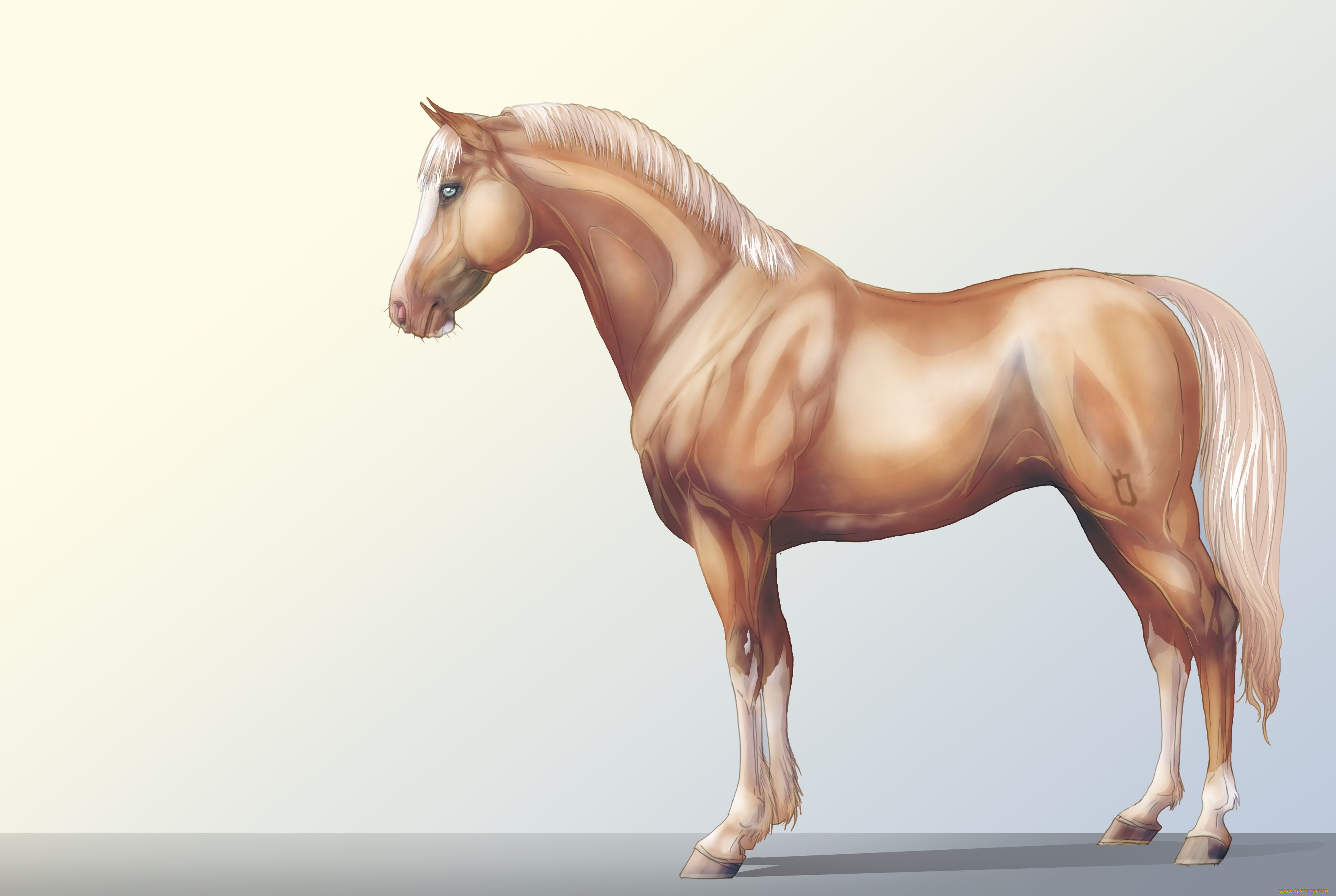 рисованные, животные, лошади, лошадь