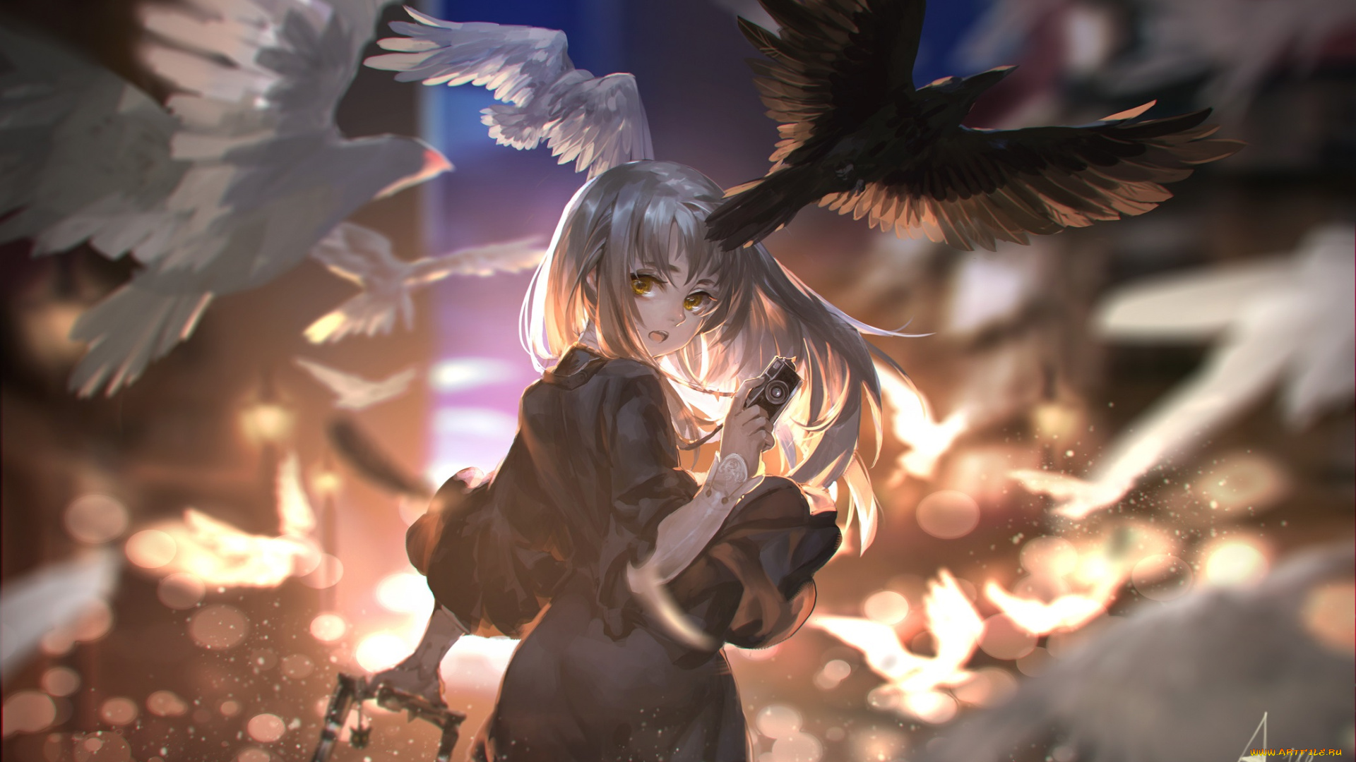аниме, pixiv, fantasia, закат, девушка, улица, фотоаппарат, alcd, птицы