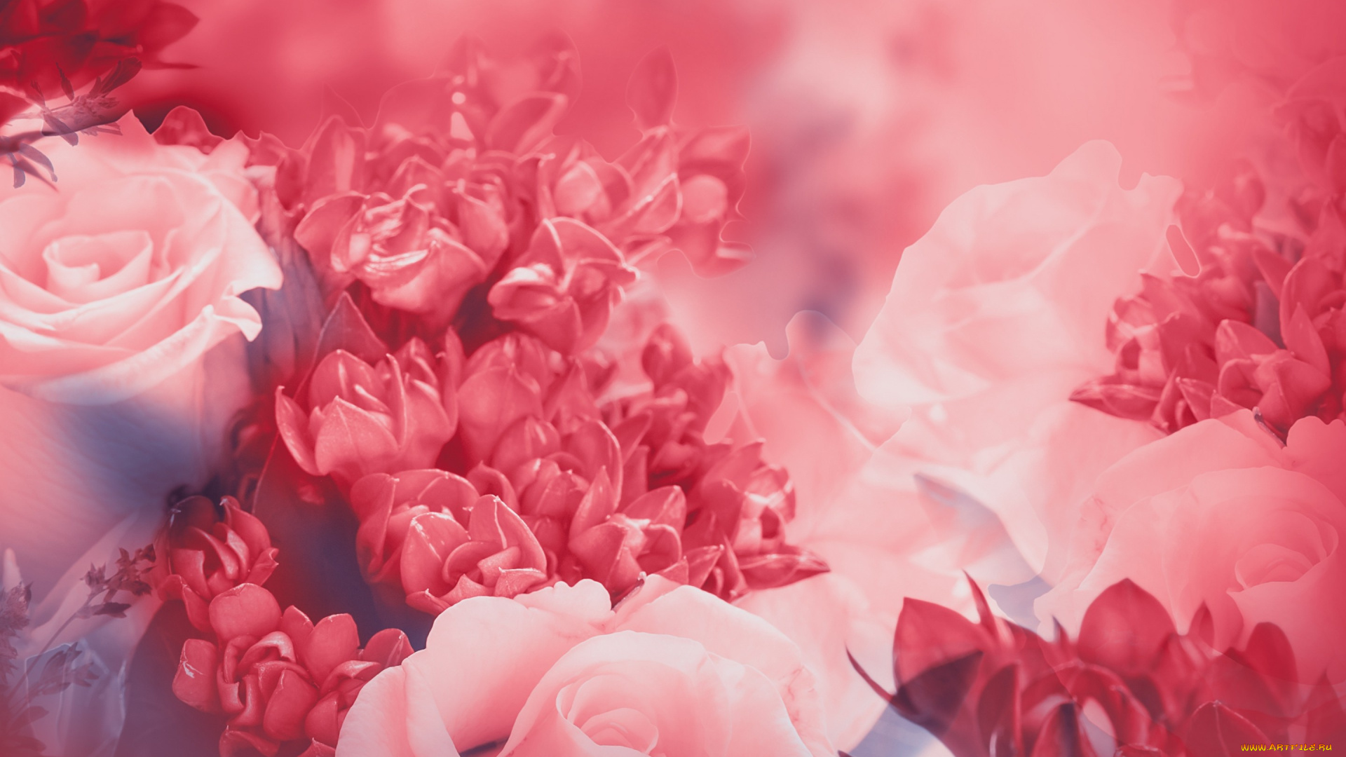 цветы, разные, вместе, цветение, листья, лепестки, бутоны, розовая, розы