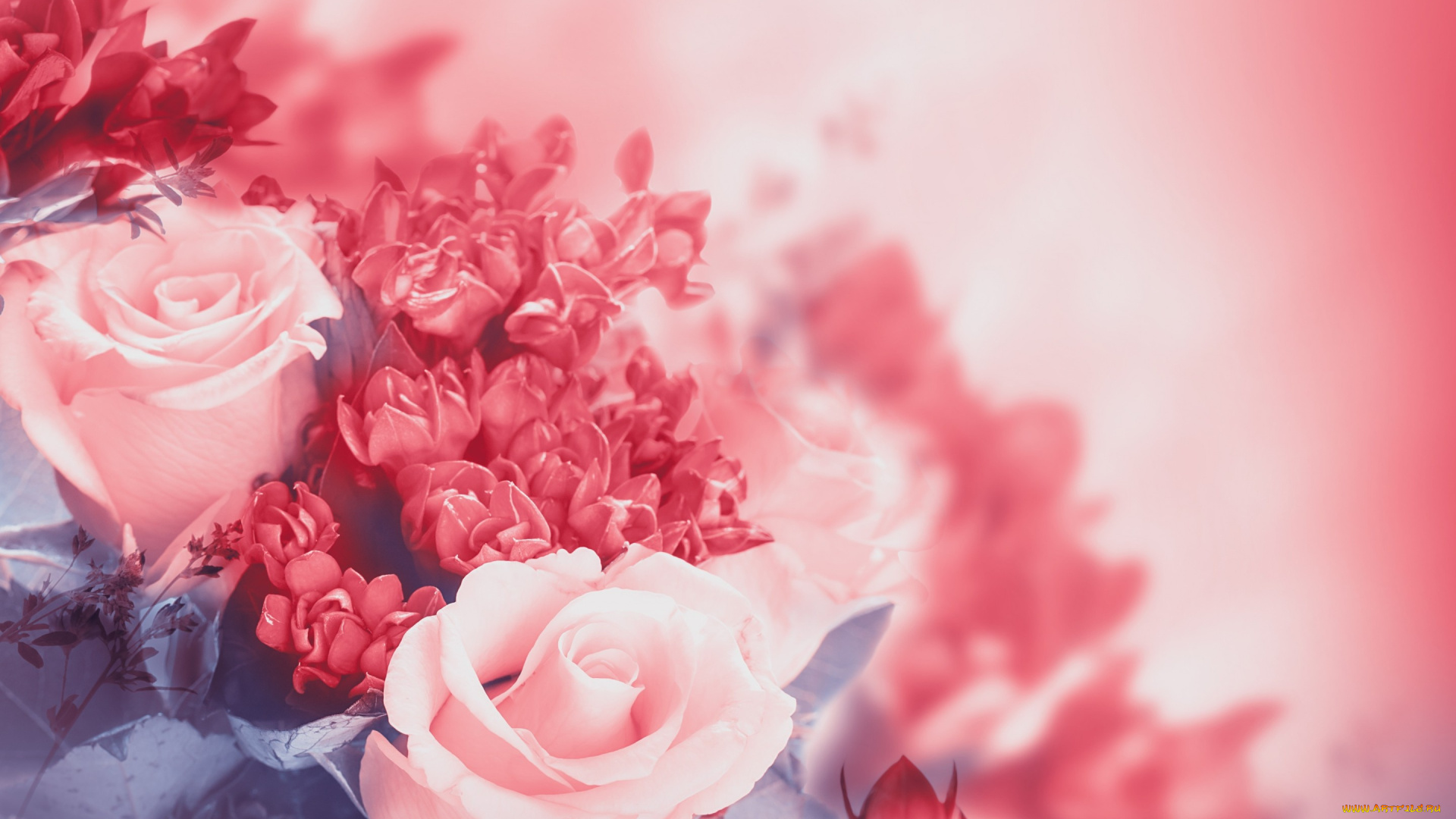 цветы, разные, вместе, flowers, цветение, листья, лепестки, розы, бутоны, розовая, blossoms, leaves, roses, pink, buds, petals