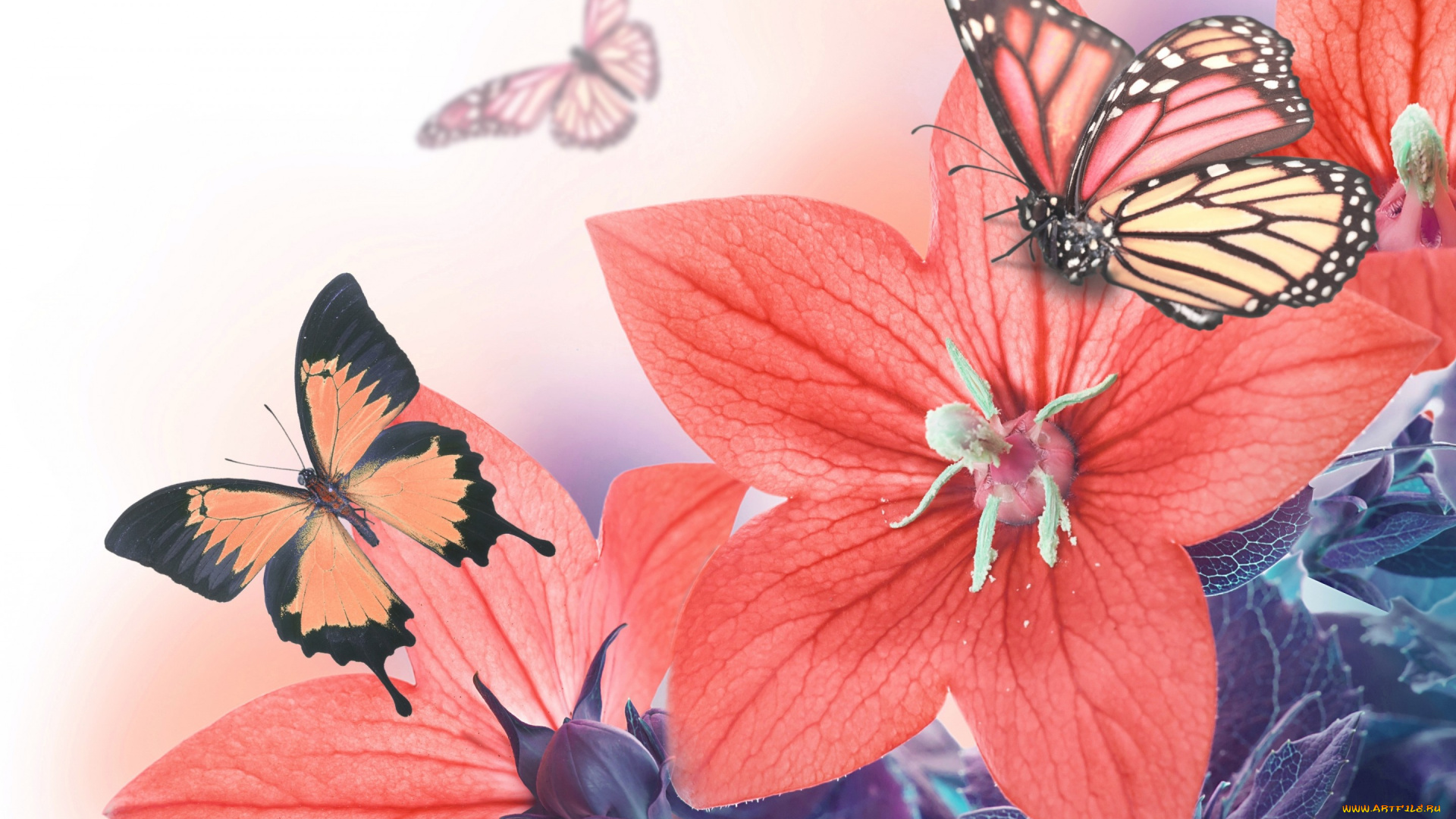 разное, компьютерный, дизайн, листья, лепестки, колокольчик, бабочки, цветение