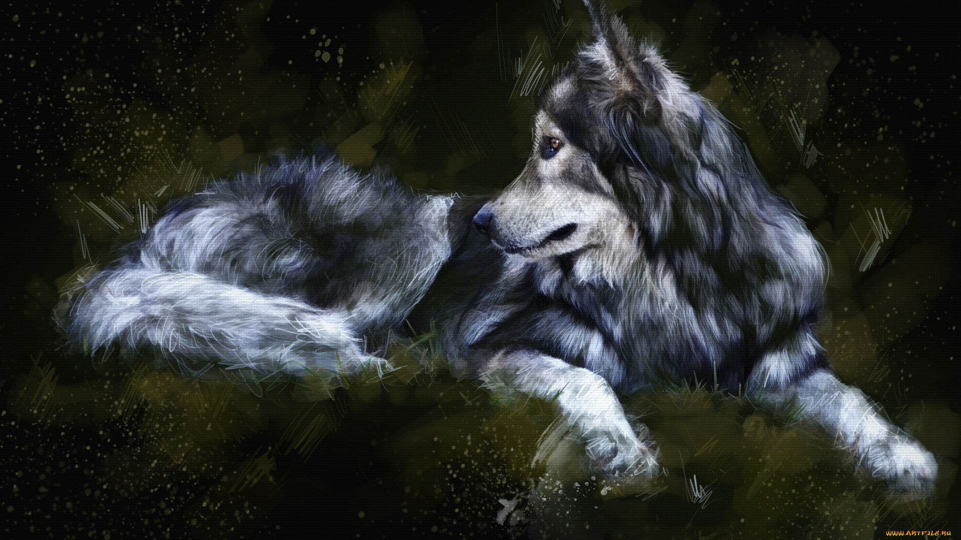 рисованные, животные, , волки, живопись, волк, темный, фон