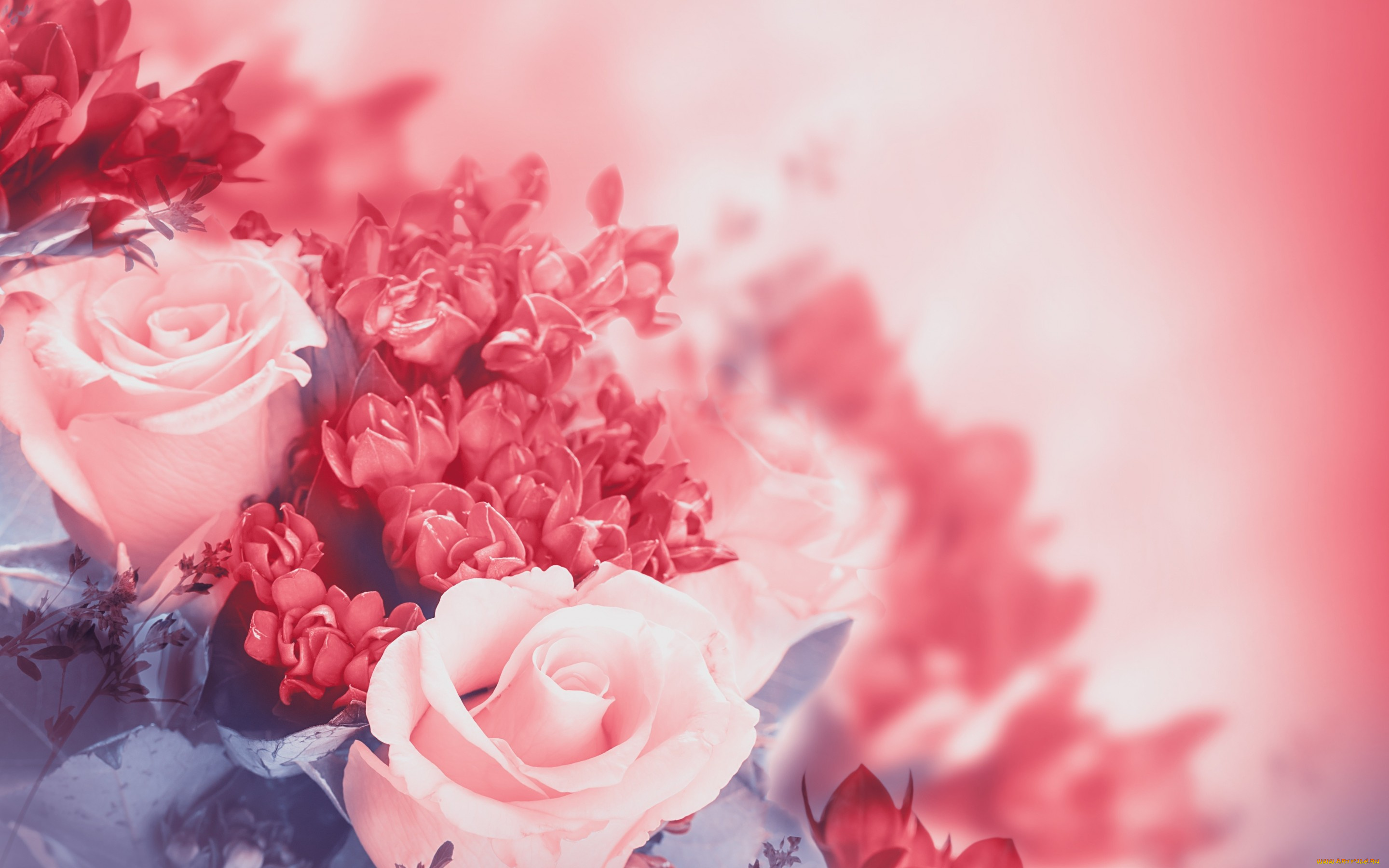 цветы, разные, вместе, flowers, цветение, листья, лепестки, розы, бутоны, розовая, blossoms, leaves, roses, pink, buds, petals