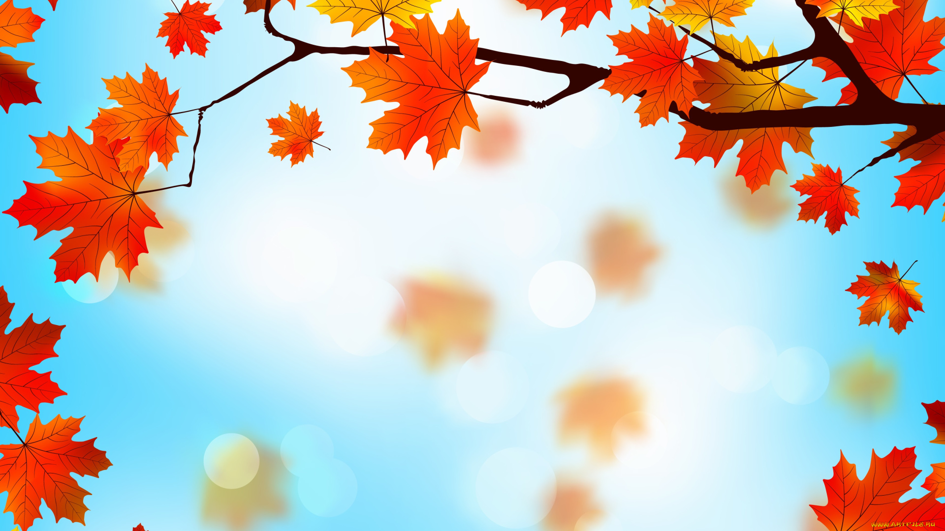 векторная, графика, природа, , nature, листья, maple, leaves, autumn, фон, осенние