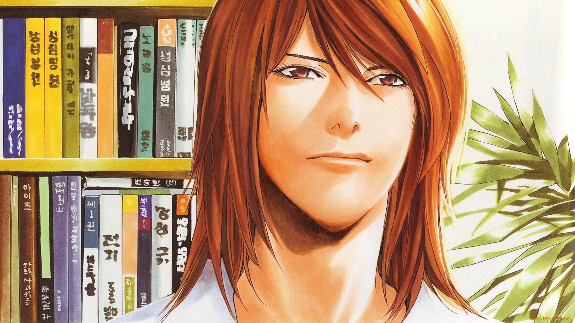 аниме, hikaru, no, go, ko, yeong